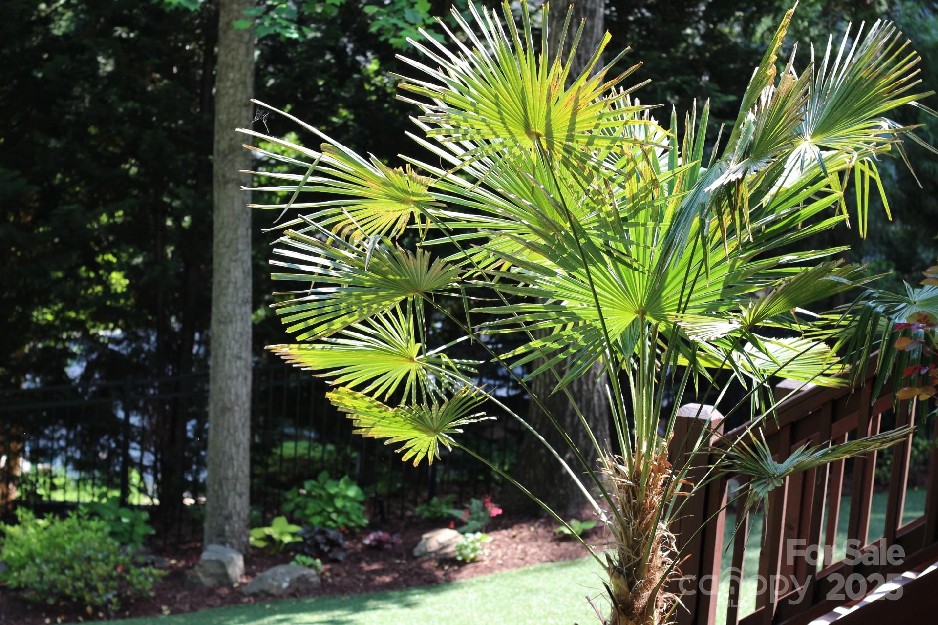 Treetops At Cowans Ford - Residential