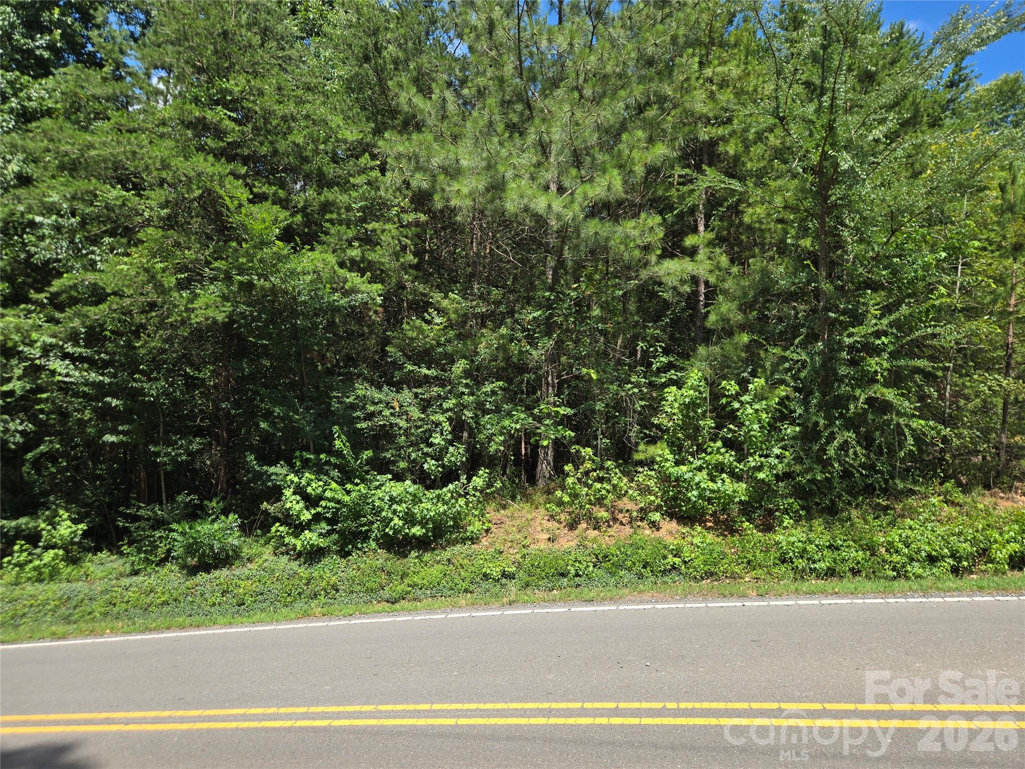 0 Pinehaven Drive 289