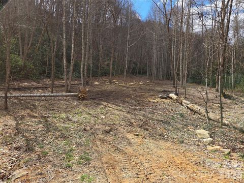 00 Laurel Branch Road Waynesville NC 28785