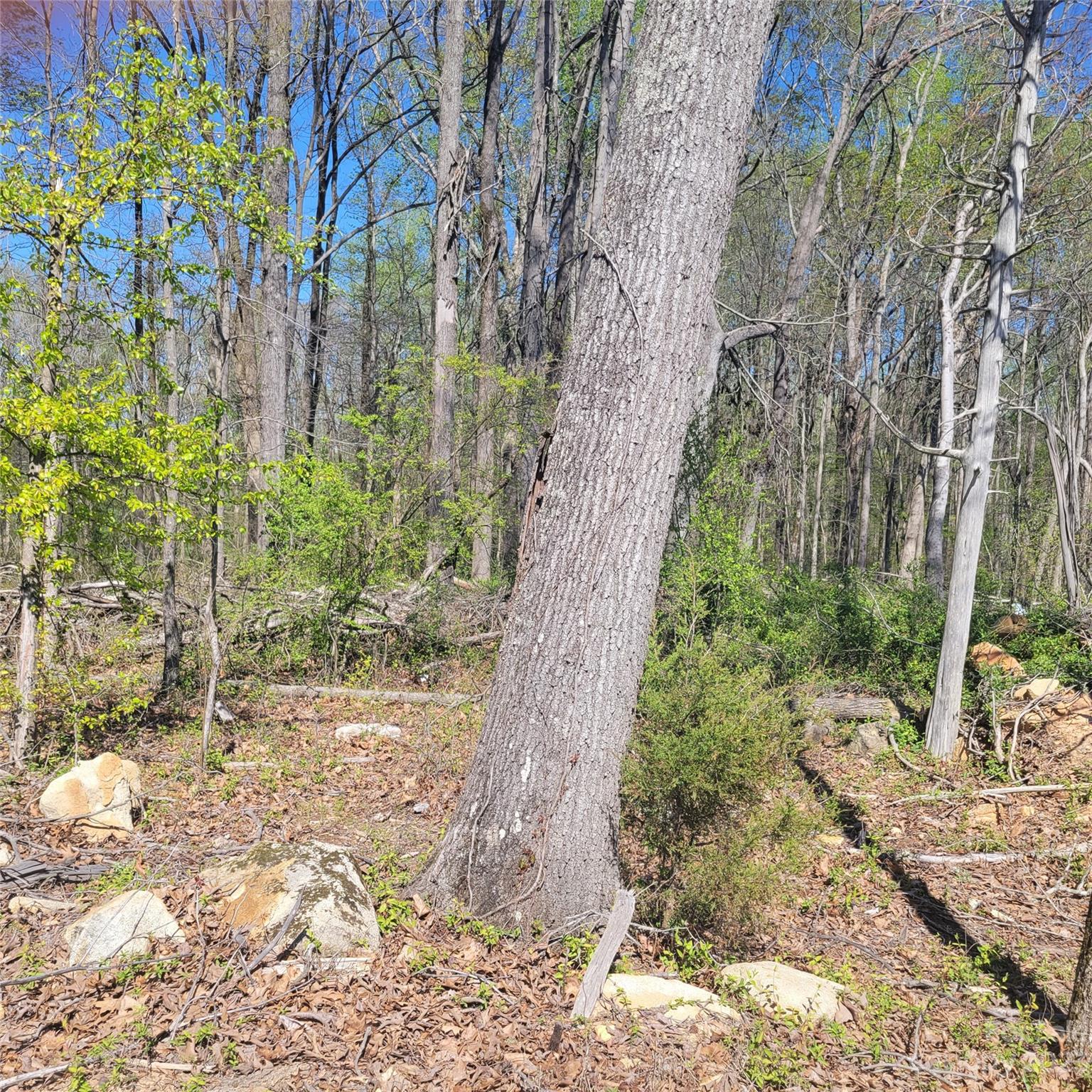 Bennington Estates - Land