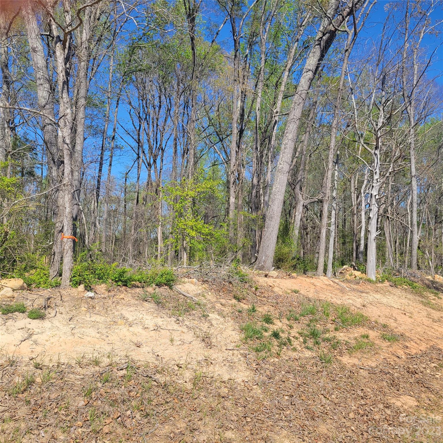 Bennington Estates - Land