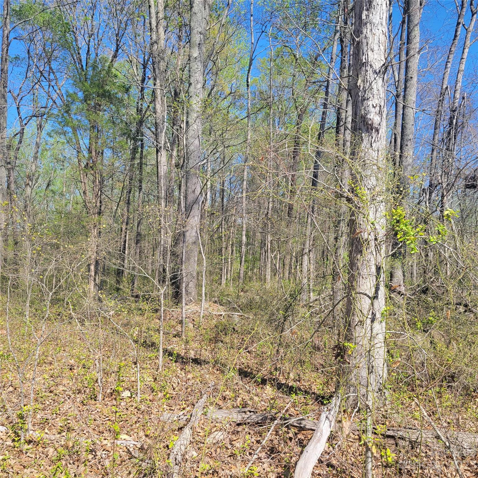 Bennington Estates - Land