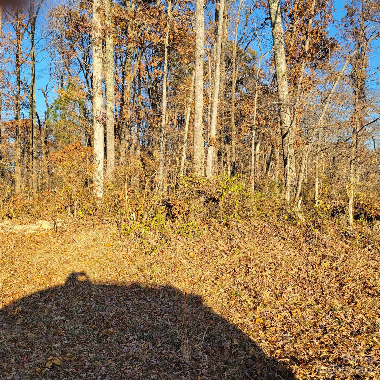 Bennington Estates - Land