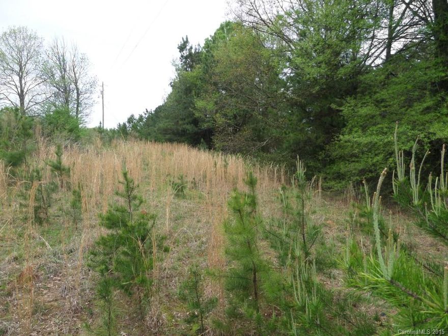 5.4 Acres on the outskirts of York. The rectangle shaped property has Dr. Nichols Road which runs on one end of the property and Sherrer Road runs on the other end of the property. The property starts on Sherrer Road right after the black stained four board fence on the left. Previously used for a mobile home park so a couple of well and septics are located on the property as well as a few mobile homes. Currently one mobile home is being rented.