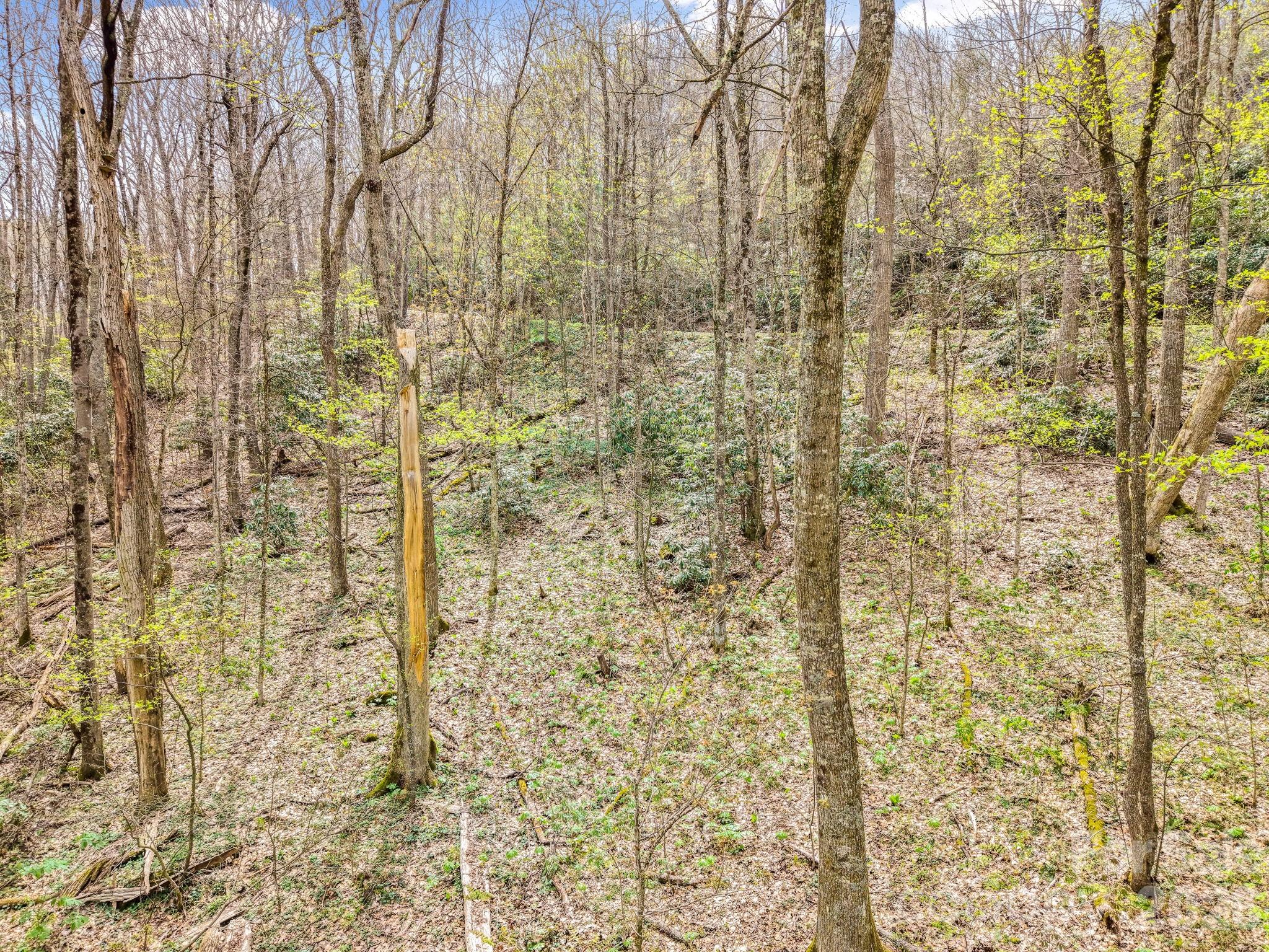 00 Bear Hollow Road 40