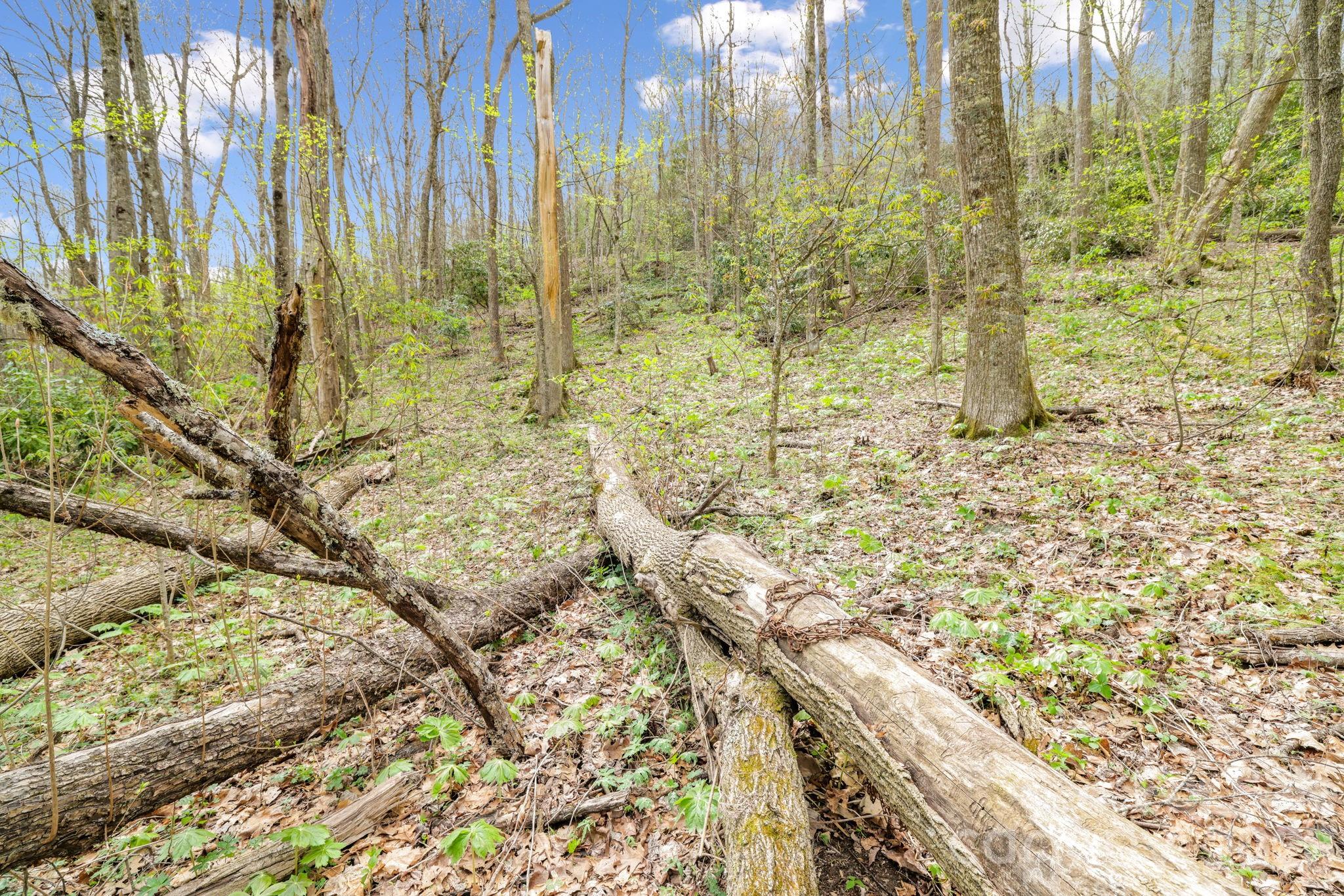 Cherry Hill Est - Land