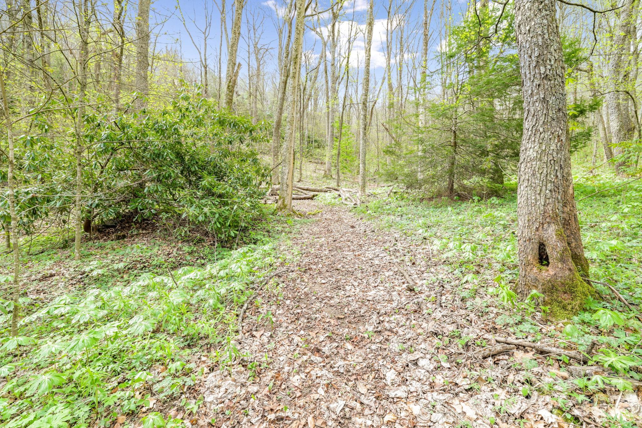 Cherry Hill Est - Land