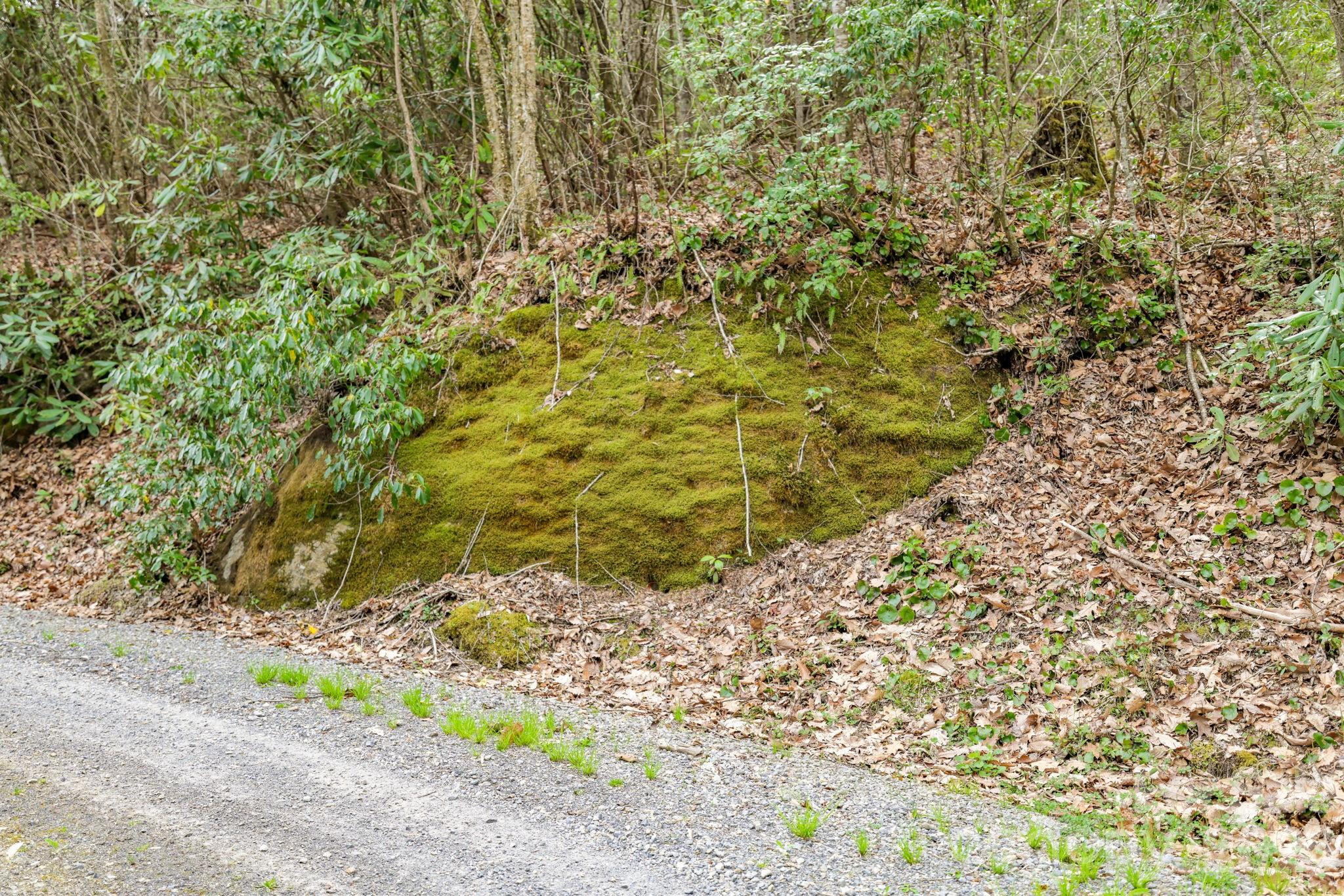 Cherry Hill Est - Land