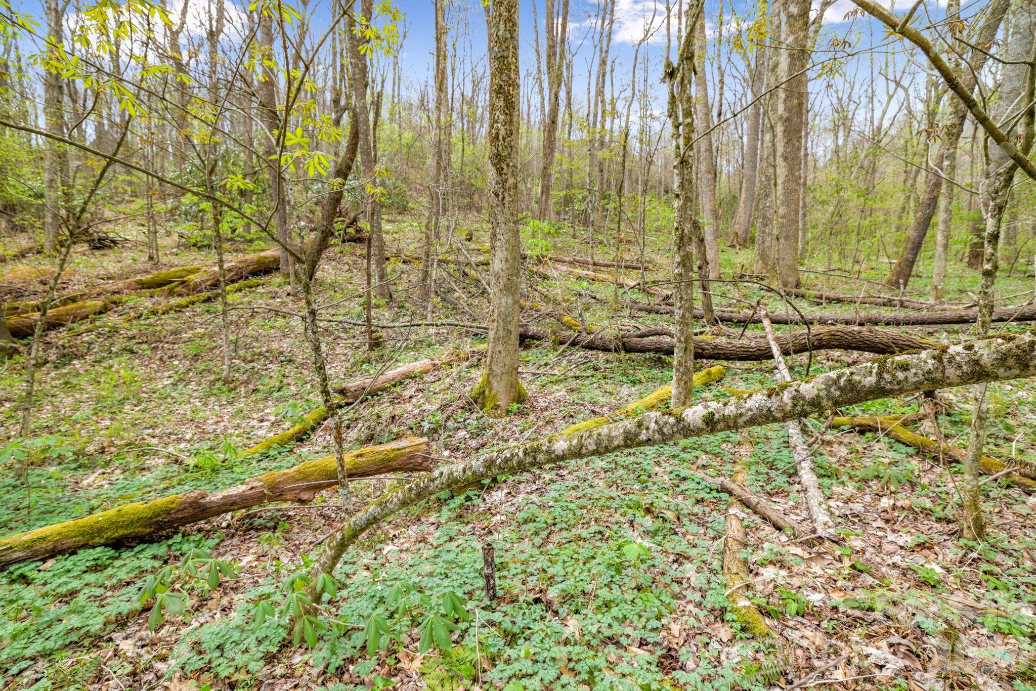 Cherry Hill Est - Land