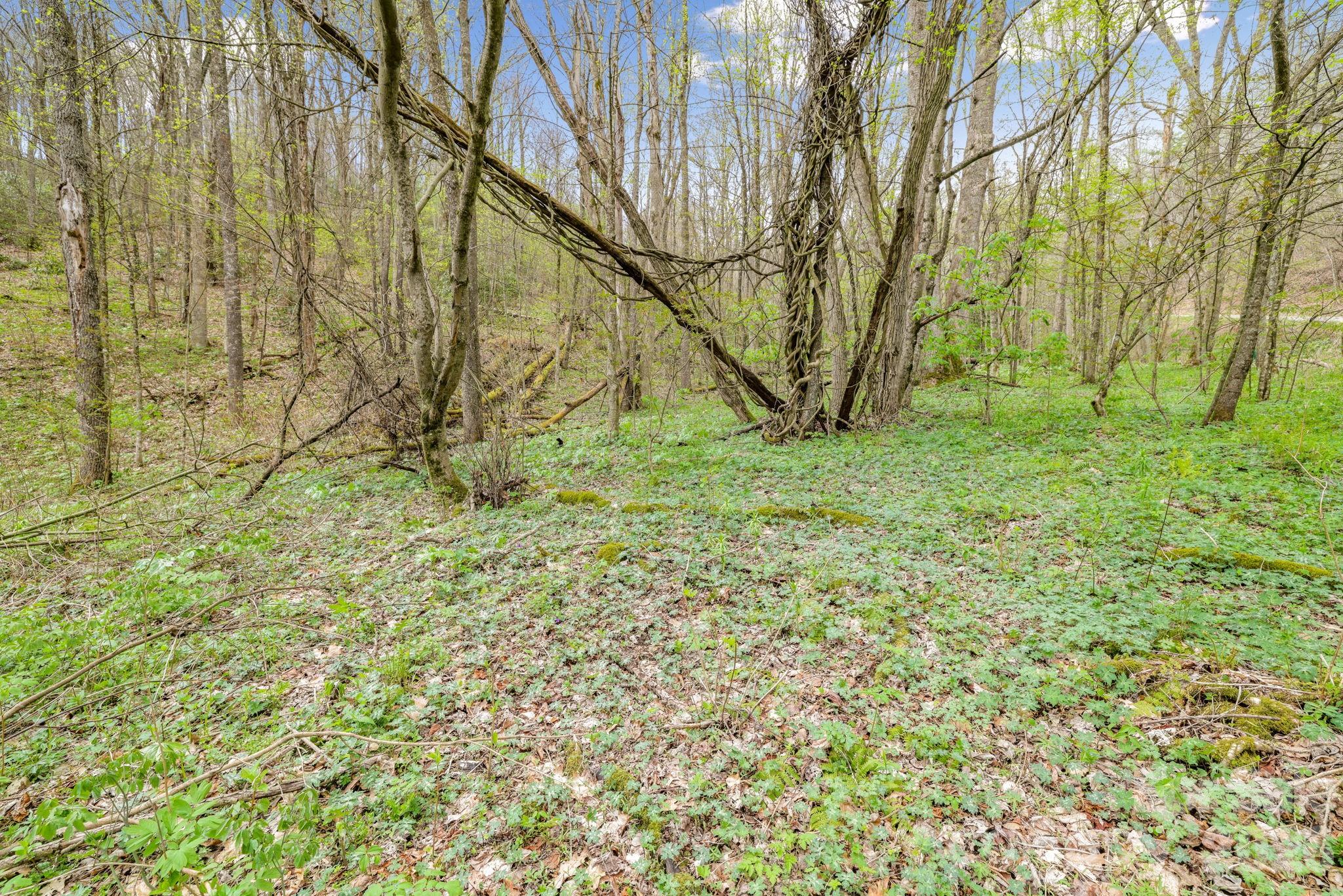 Cherry Hill Est - Land