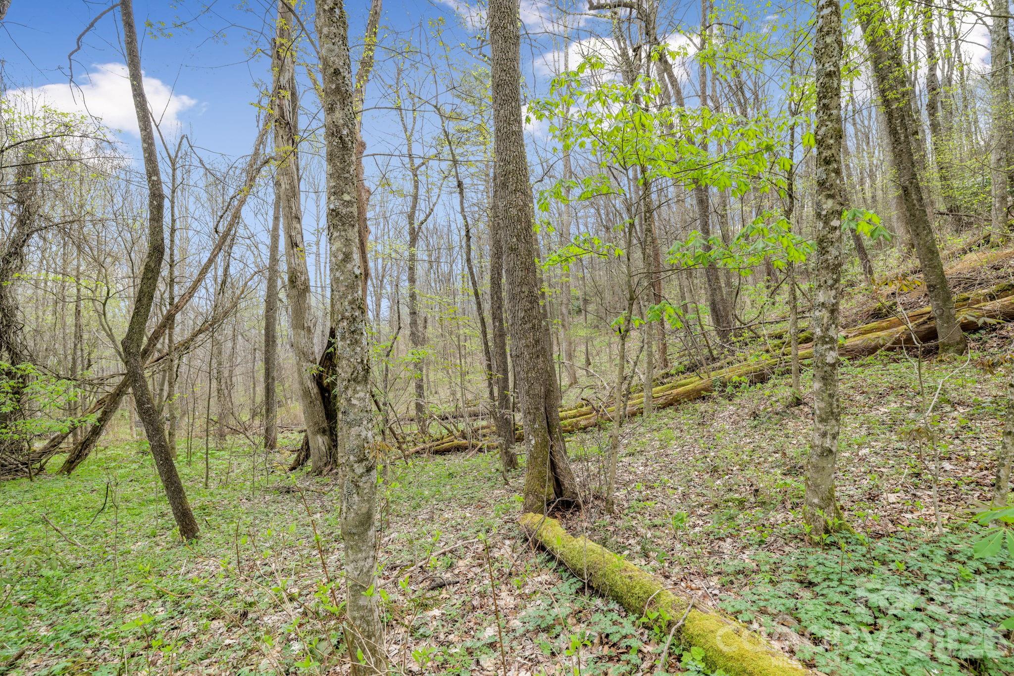 Cherry Hill Est - Land