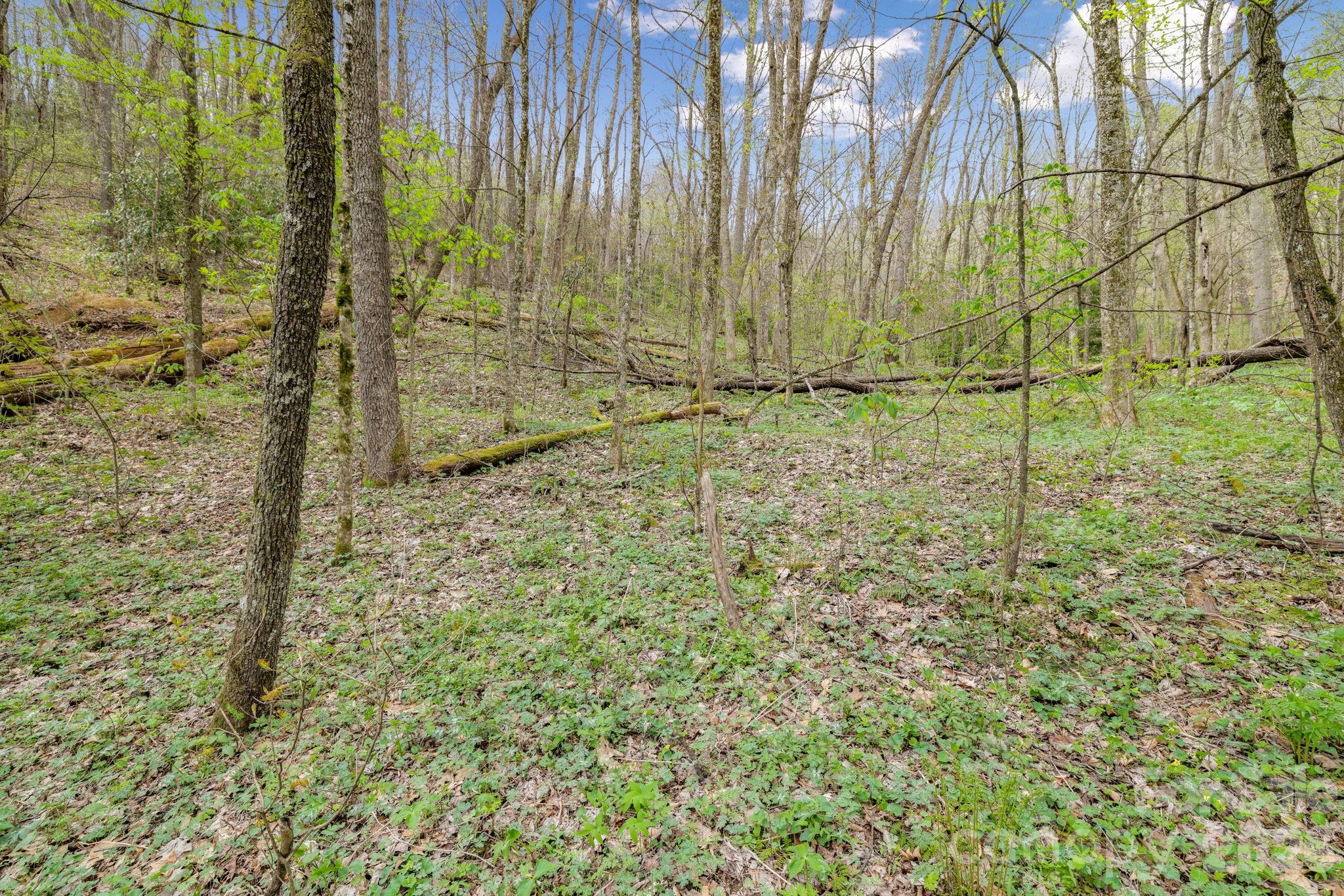 Cherry Hill Est - Land