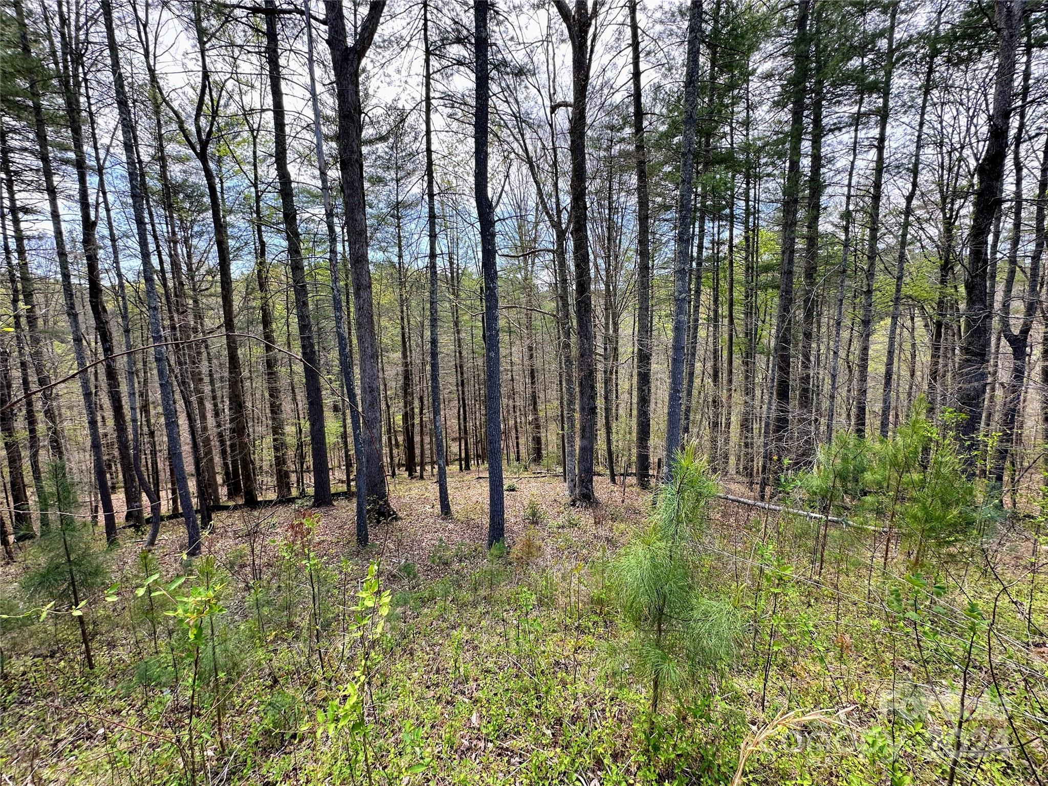 Lake Rhodhiss Estates - Land