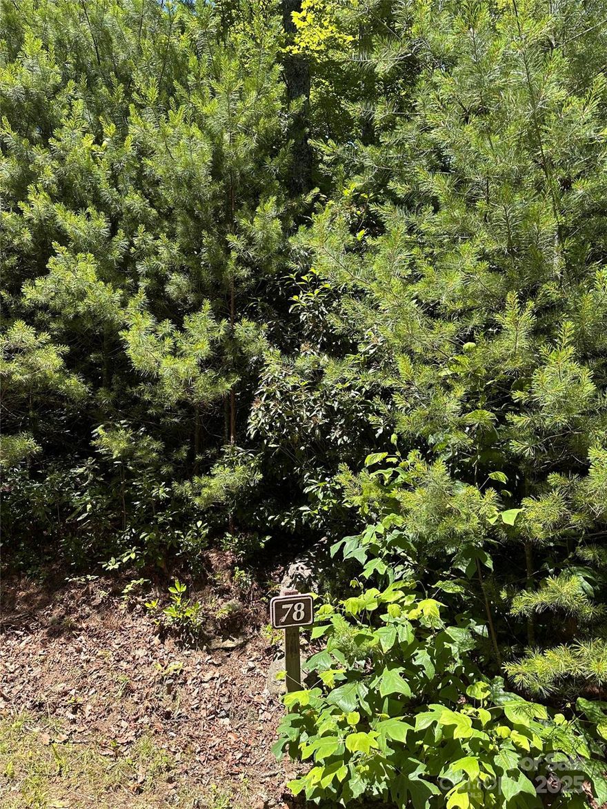 Serene 0.12 Acre Wooded Mountain Retreat in WNC

Discover the perfect opportunity to build your dream mountain home on this 0.12-acre naturally wooded property nestled in the thermal belt of Western North Carolina. Offering a secluded, forested setting with an easy build site, this lot provides a peaceful mountain atmosphere while maintaining privacy within a gated community.

Enjoy the tranquility of being surrounded by nature, with access to over three miles of scenic hiking trails, picnic shelters, and a charming gazebo. The community also features a Lodge with an outdoor pool, hot tub, and versatile gathering spaces equipped with a kitchen — ideal for entertaining or relaxing with family and friends.

Create your private mountain sanctuary in this serene and scenic location, where every day feels like a vacation.