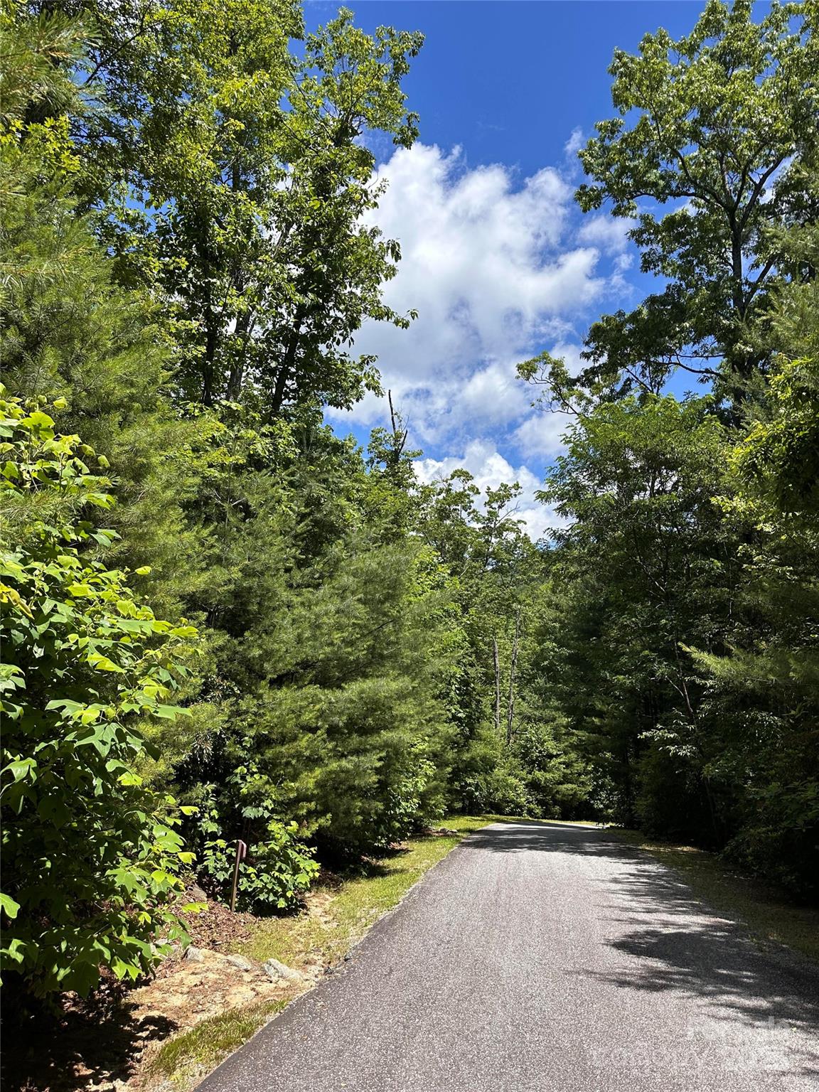 Pinnacle Falls - Land