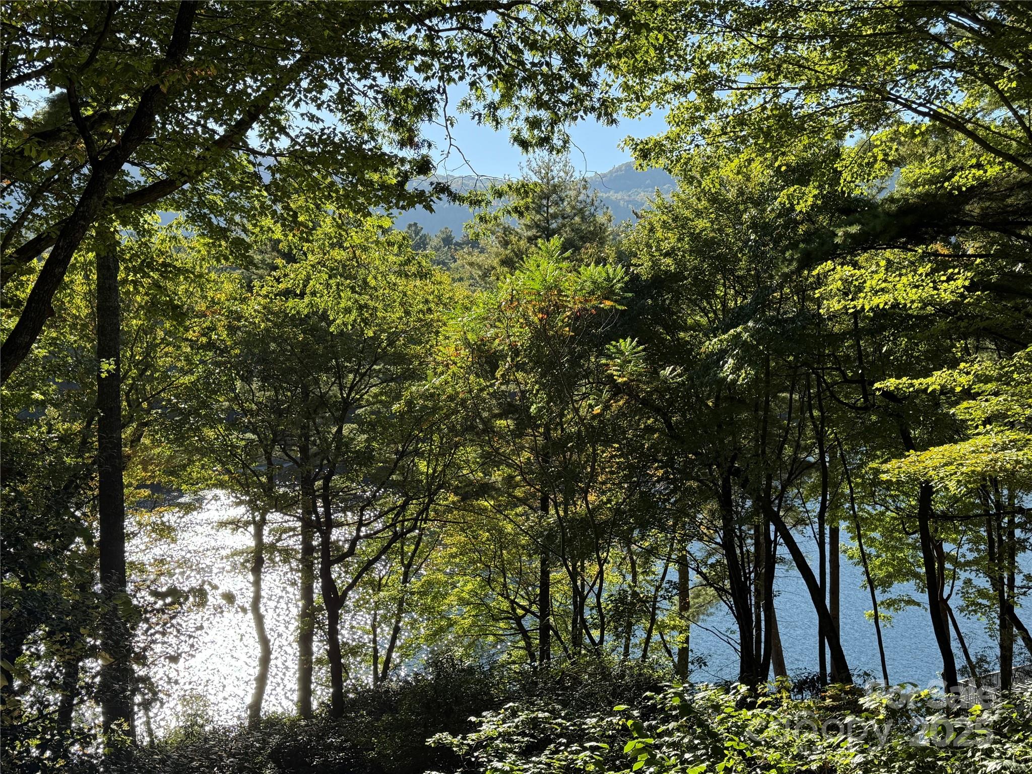 1957 & 1923 Cold Mountain Road