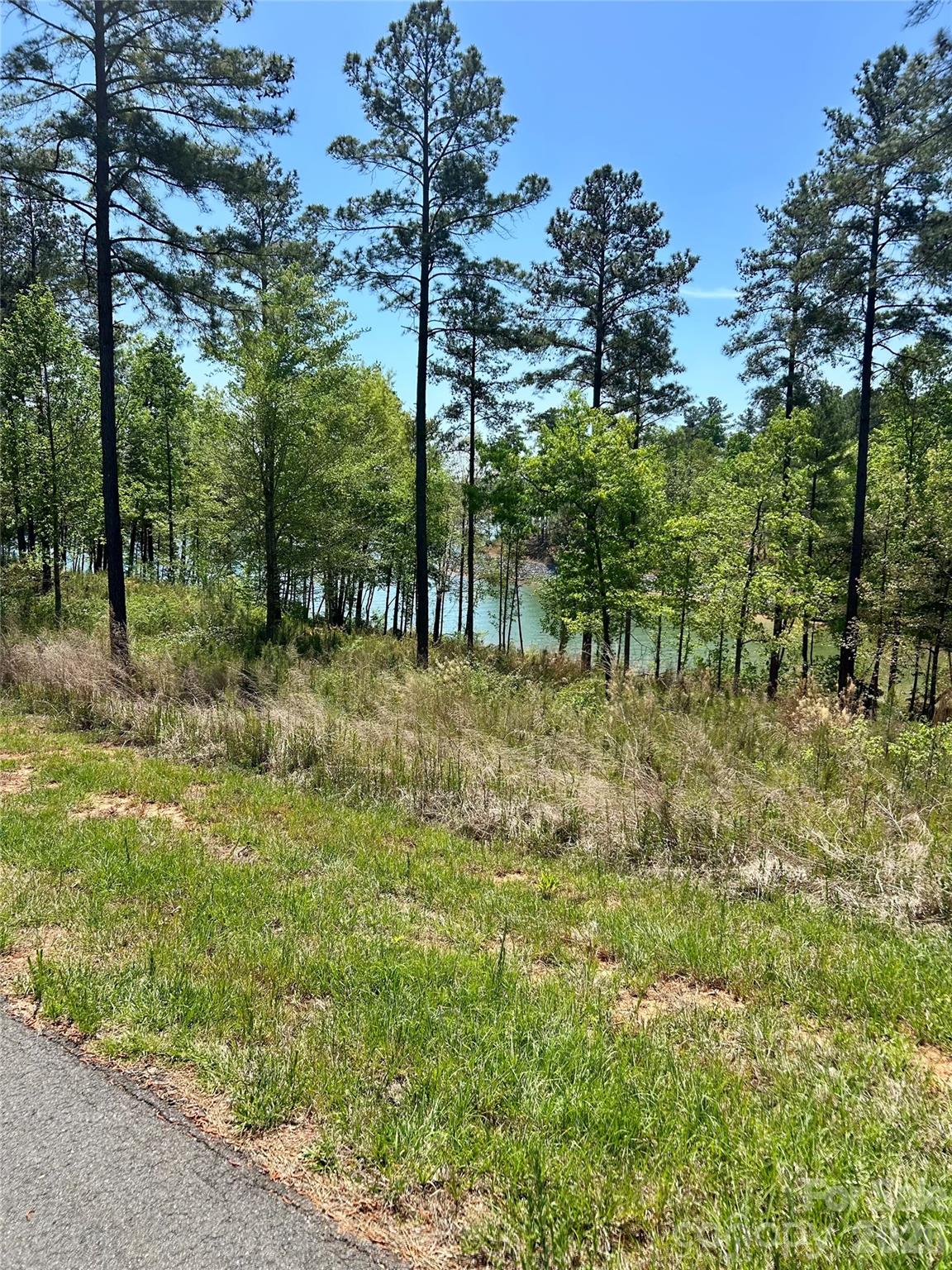 Lakeside Reserve - Land