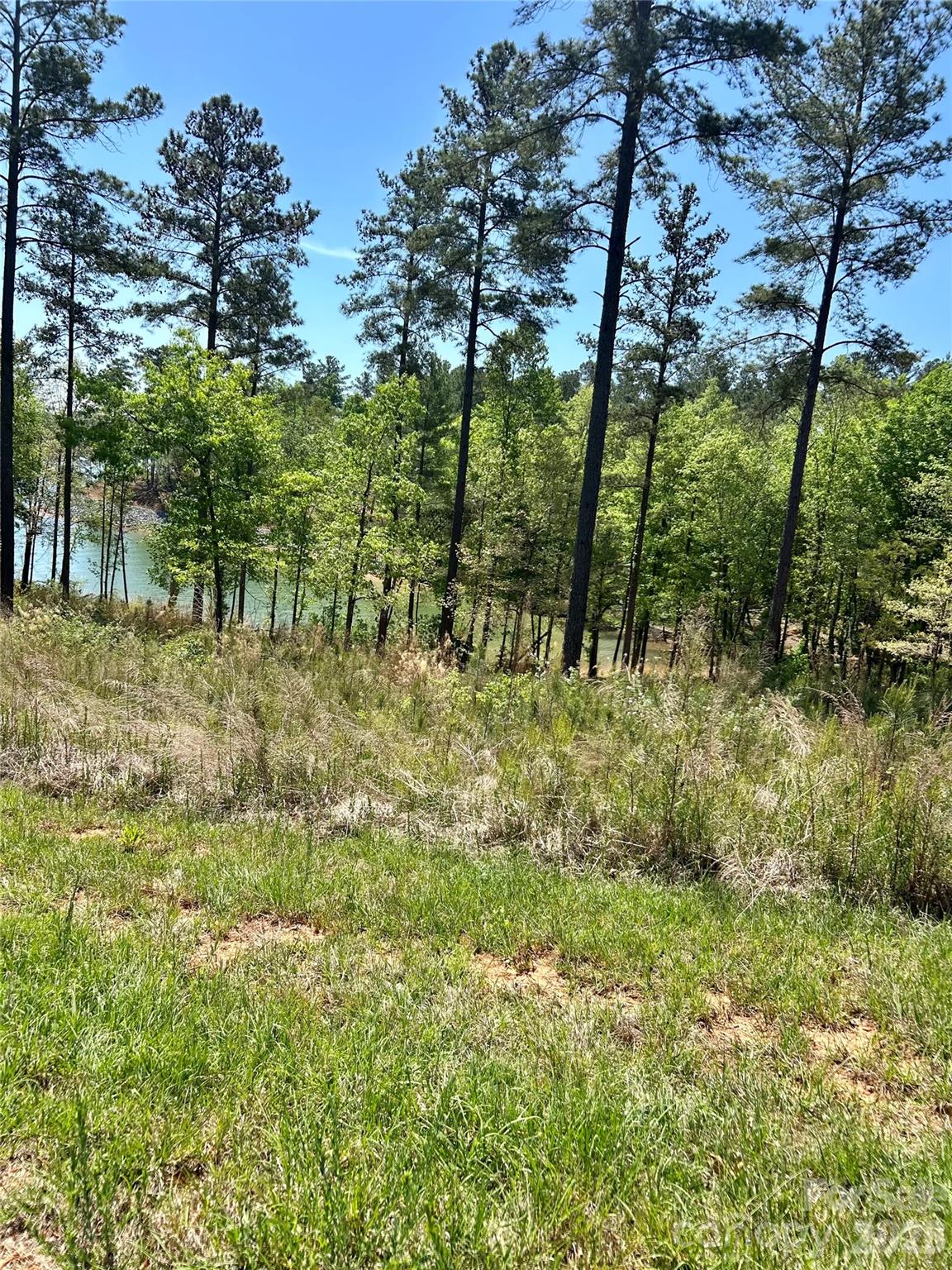 Lakeside Reserve - Land