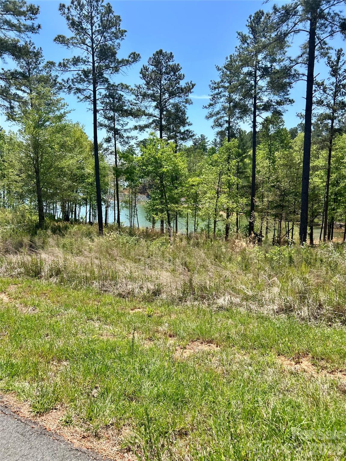 Lakeside Reserve - Land