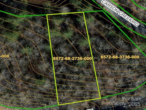 999 Dvdegi Court Brevard NC 28712