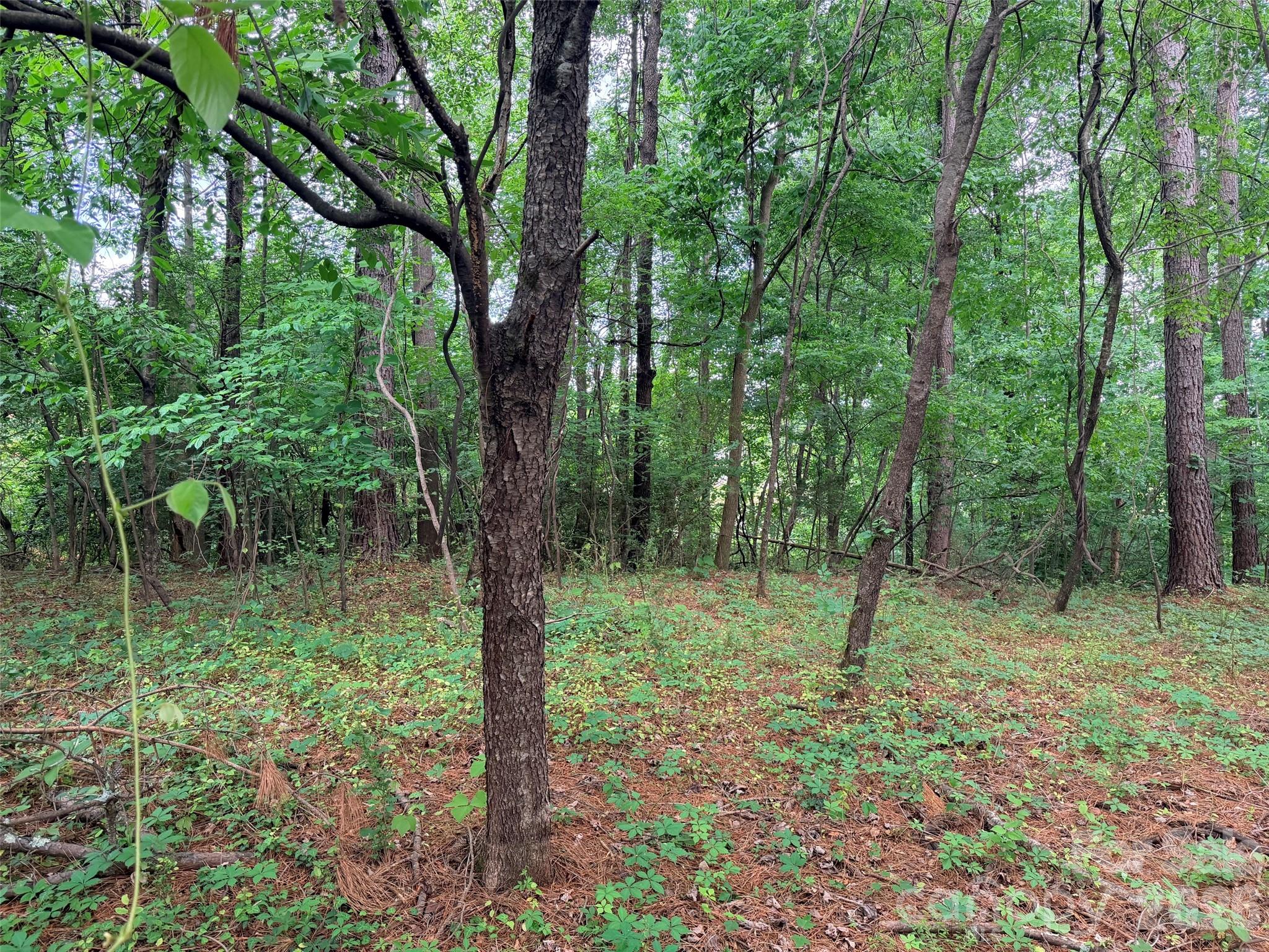Lot 12 Sheepnose Drive