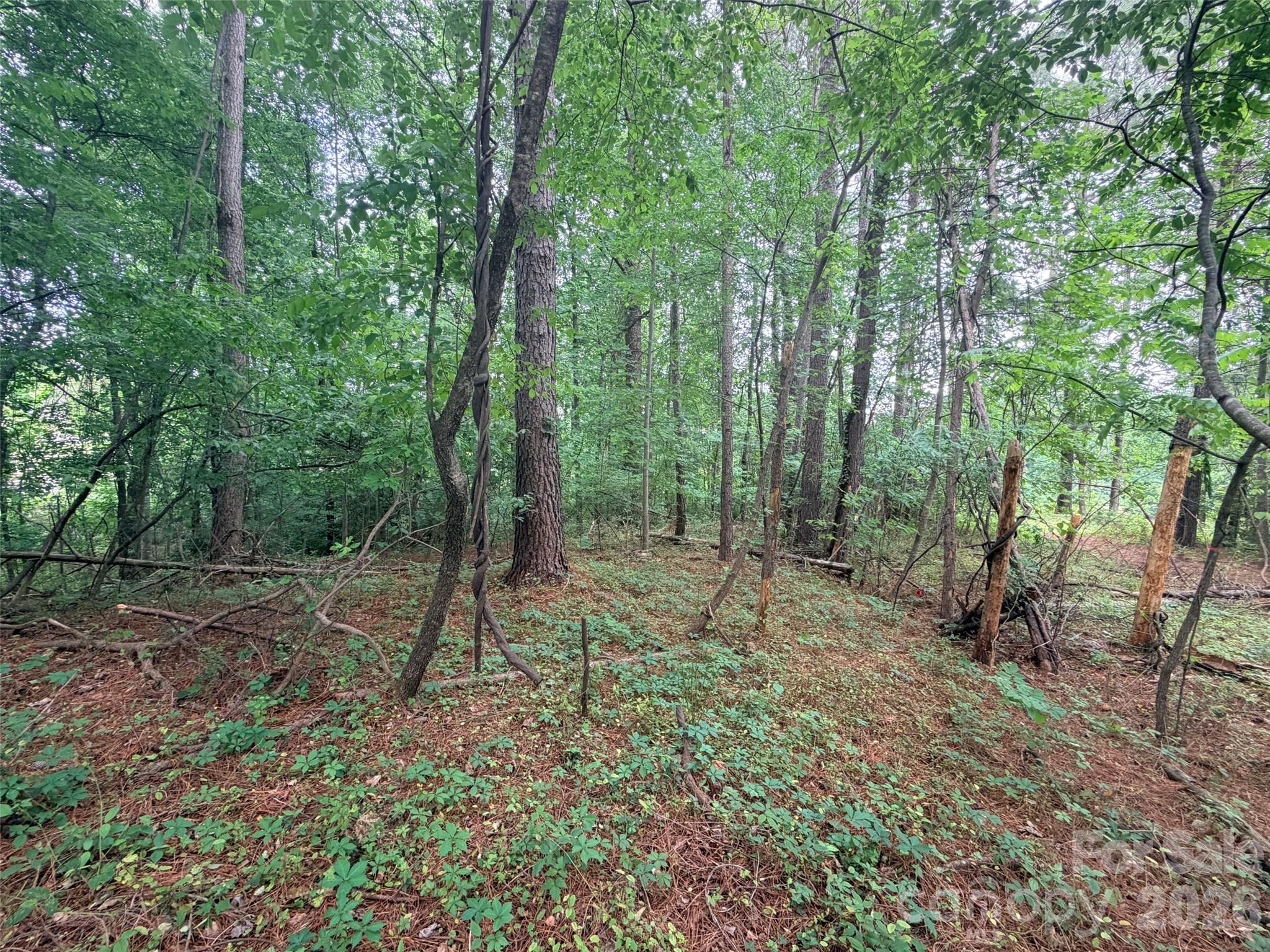 Lot 12 Sheepnose Drive
