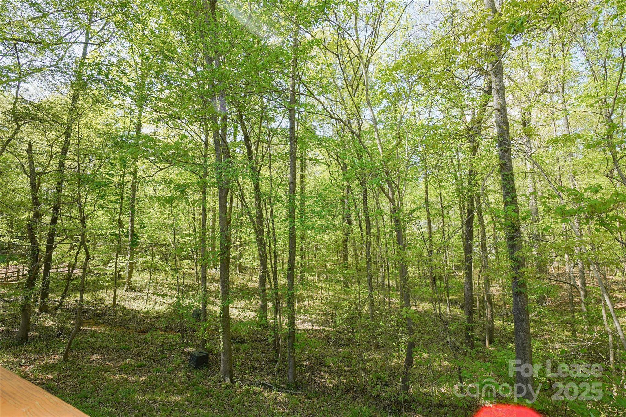 Weddington Oaks - Residential Lease