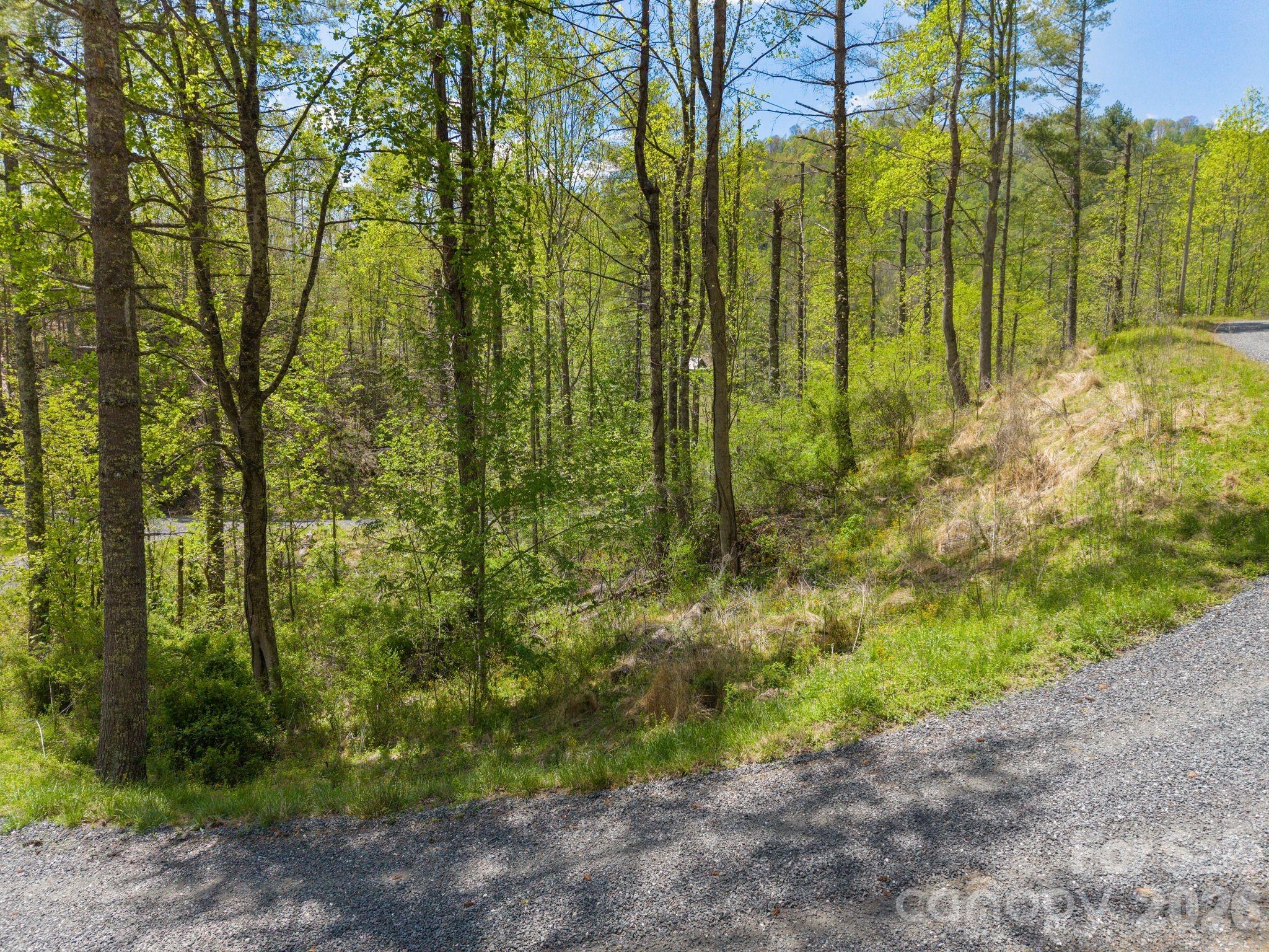 Beech Creek Estates - Land