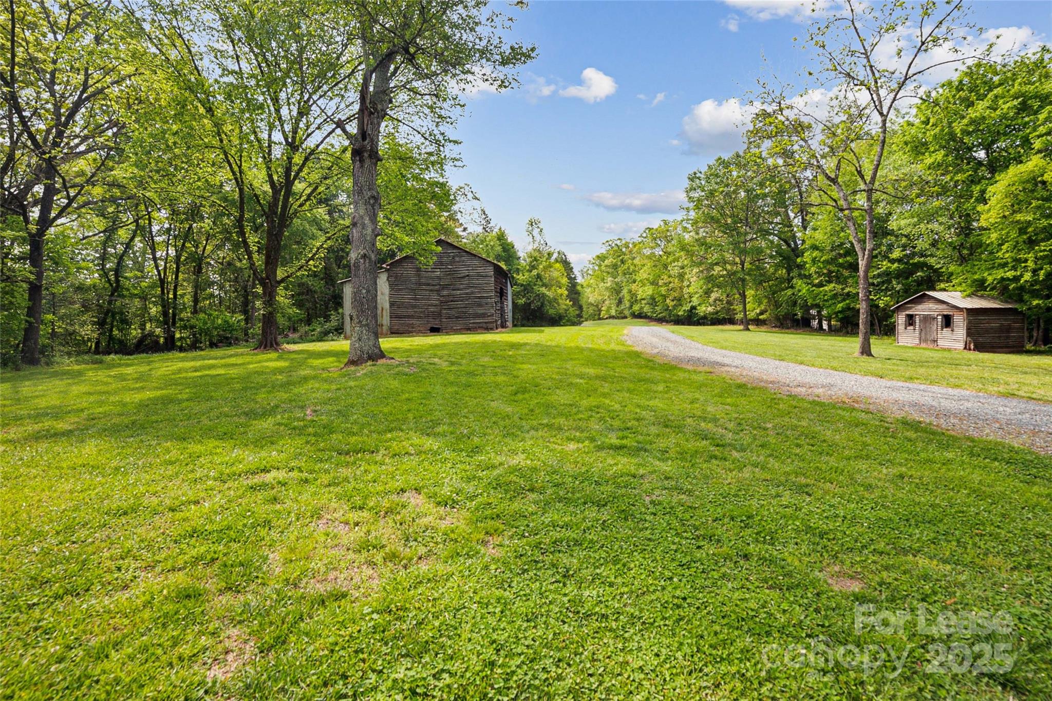 None - Residential Lease