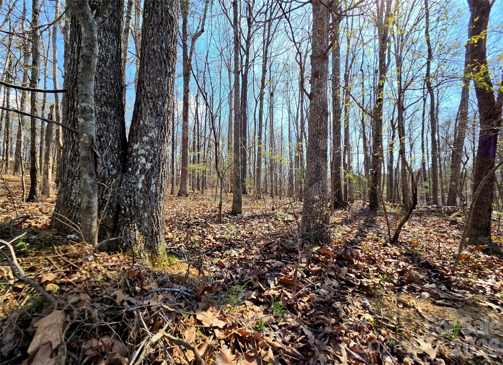242 Sturdivant Road