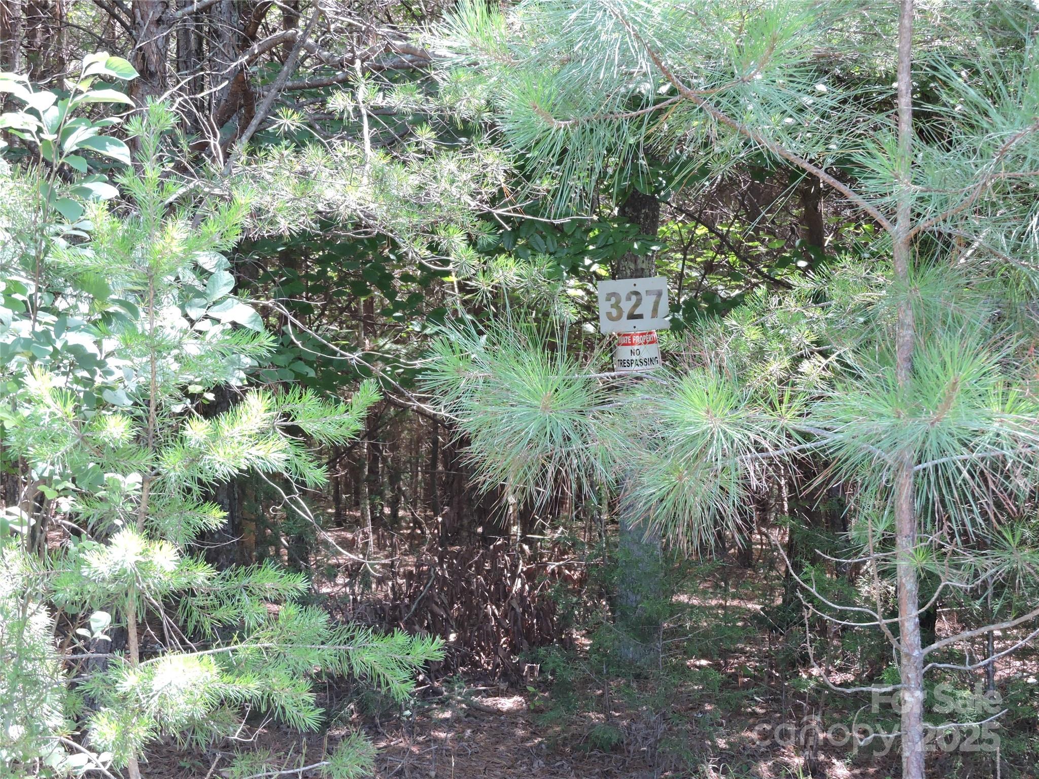 Rutherfordton, North Carolina 28139, United States, ,Land,Active,156131