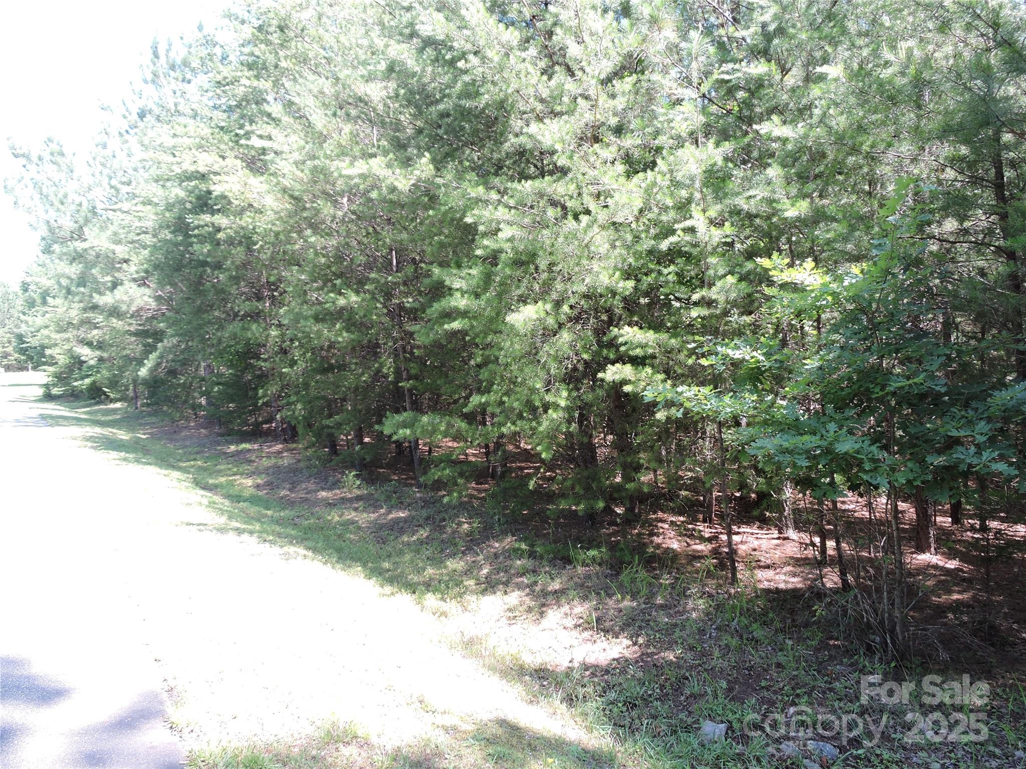 Rutherfordton, North Carolina 28139, United States, ,Land,Active,156131