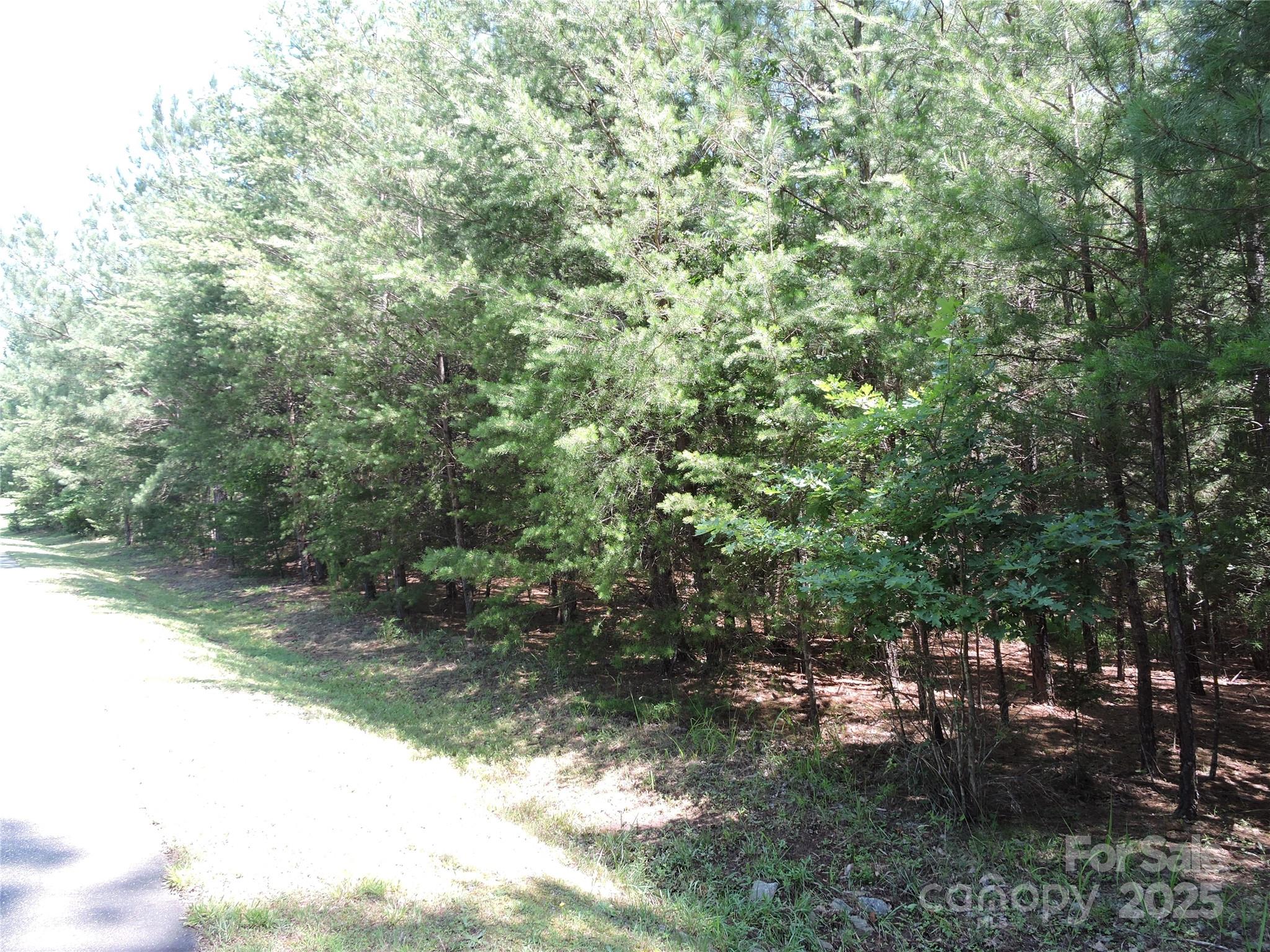 Rutherfordton, North Carolina 28139, United States, ,Land,Active,156131