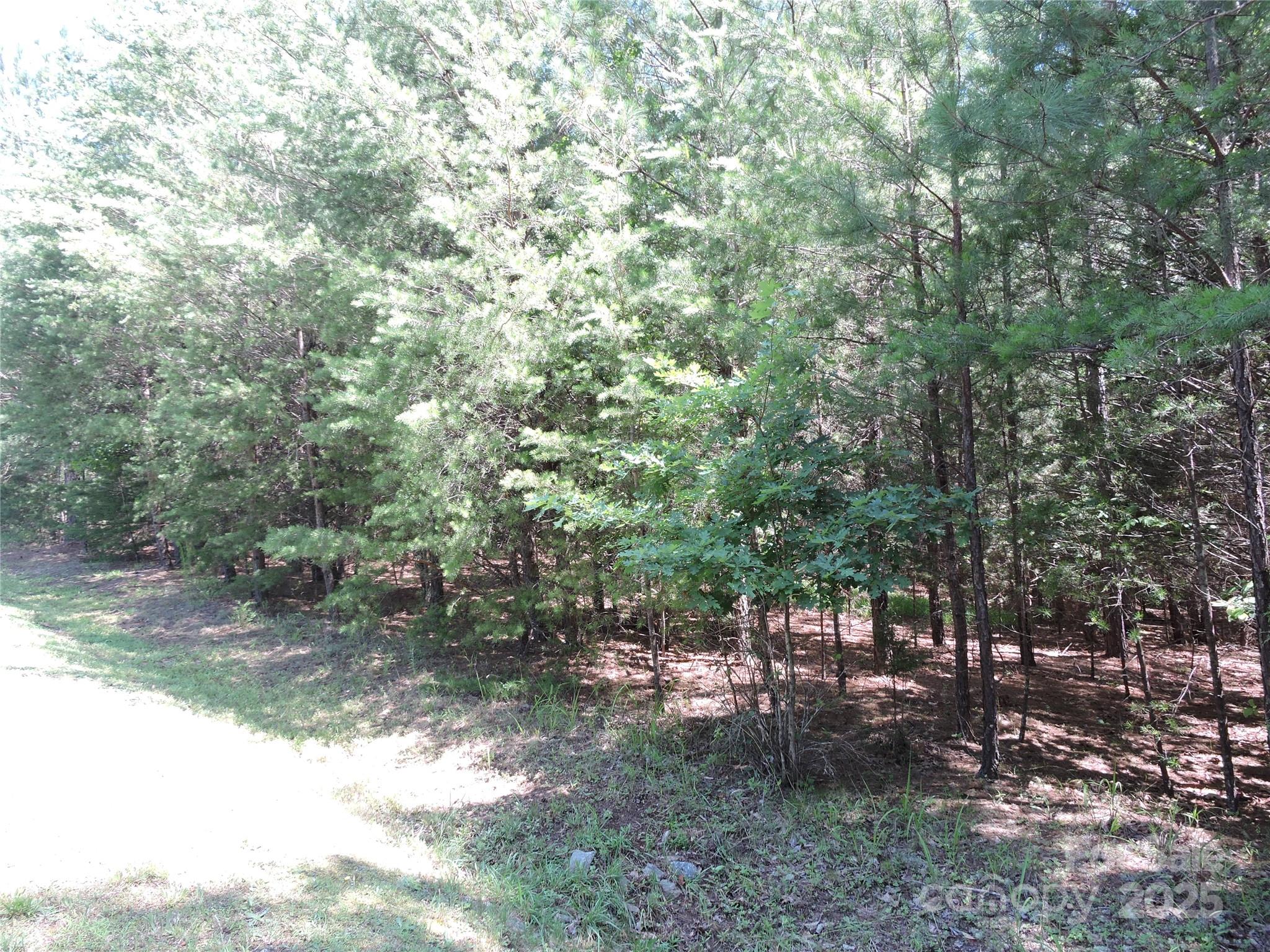 Rutherfordton, North Carolina 28139, United States, ,Land,Active,156131