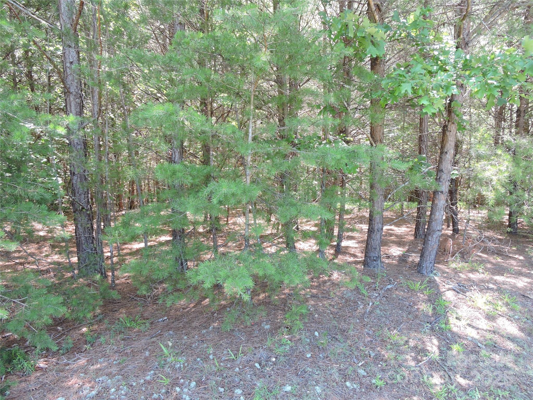 Rutherfordton, North Carolina 28139, United States, ,Land,Active,156131