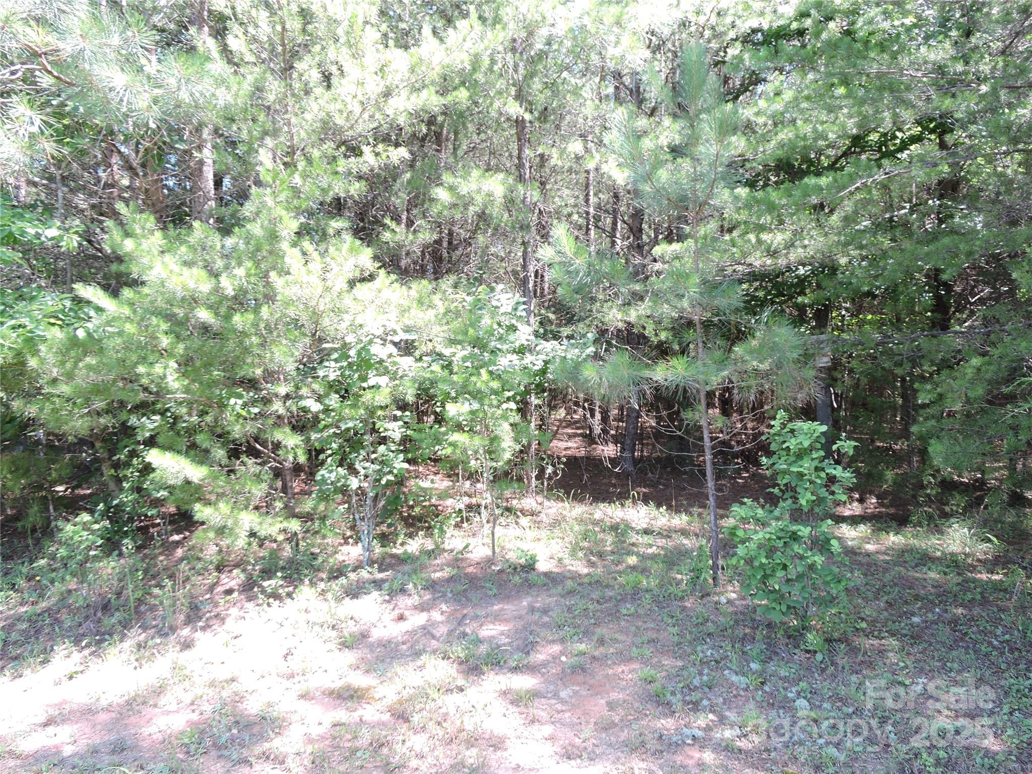 Rutherfordton, North Carolina 28139, United States, ,Land,Active,156131