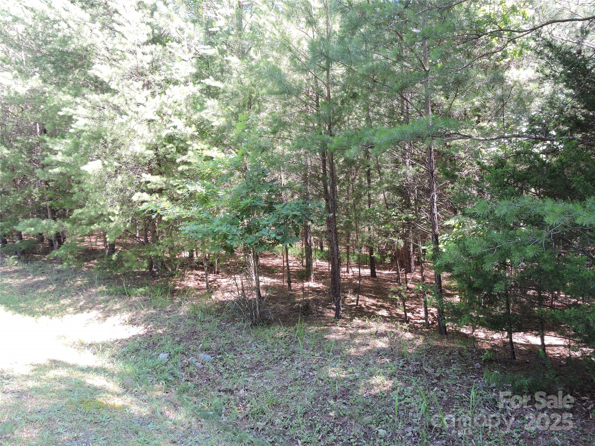 Rutherfordton, North Carolina 28139, United States, ,Land,Active,156131