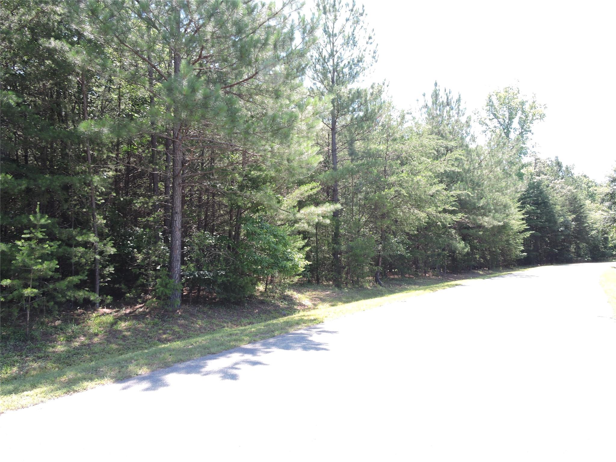 Rutherfordton, North Carolina 28139, United States, ,Land,Active,156131 Rutherfordton, North Carolina 28139, United States, ,Land,Active,156131