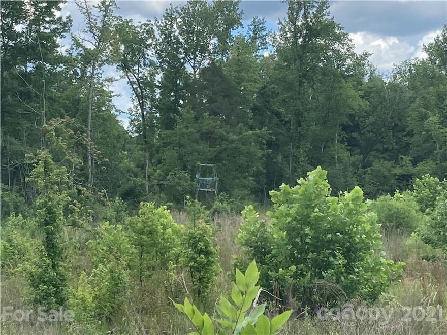 Quiet neighborhood off highway 72 on the Rock Hill side of Chester, SC. Approximately 5 acre lot that has had most of the timber cleared and ready for you to prepare a homesite. This large lot has over 800 feet of frontage on Rocky Creek. Property does contain a large amount of floodplain but has adequate room to build you dream home.