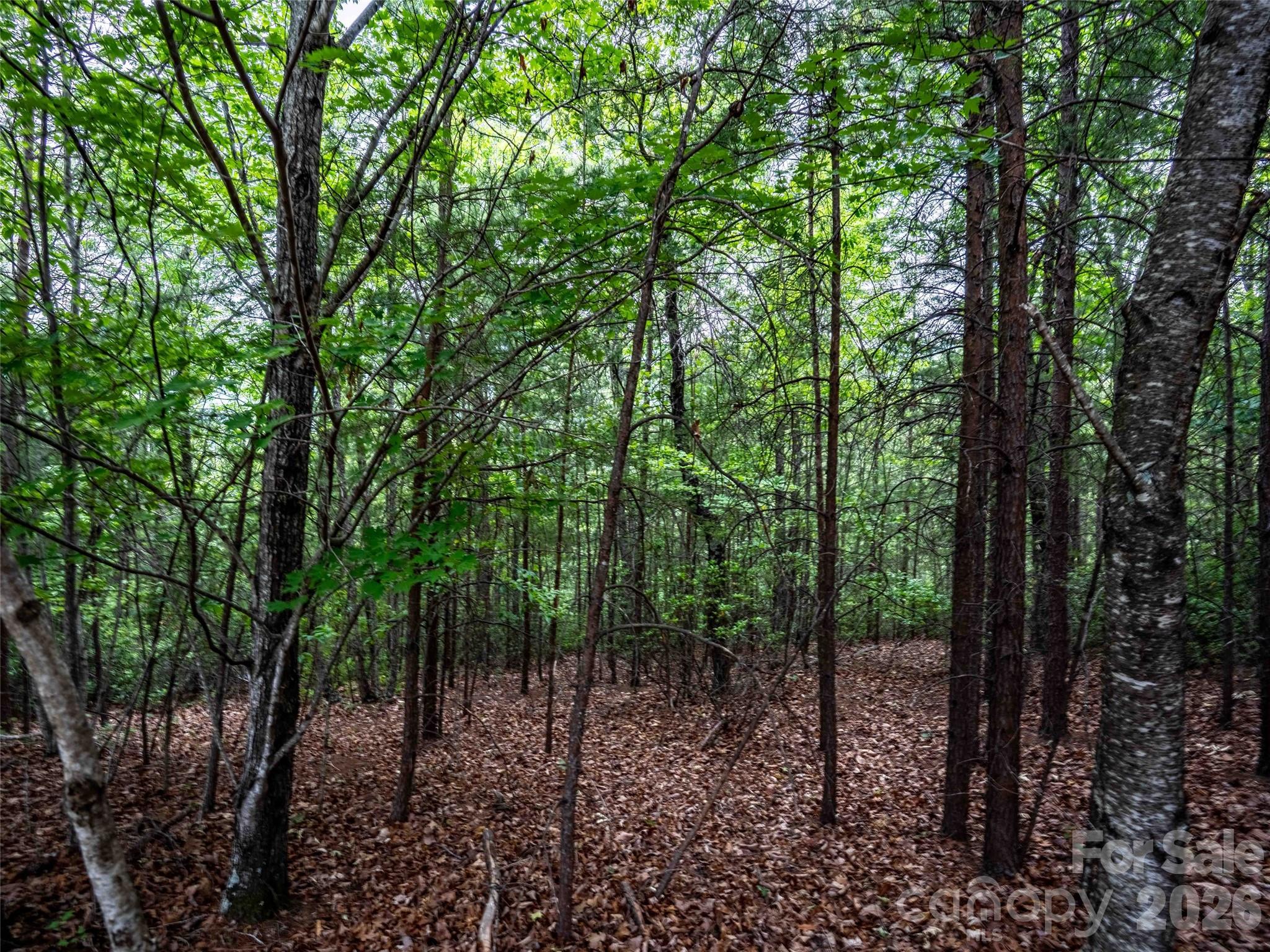 38 Deep Gap Farm Road E 38