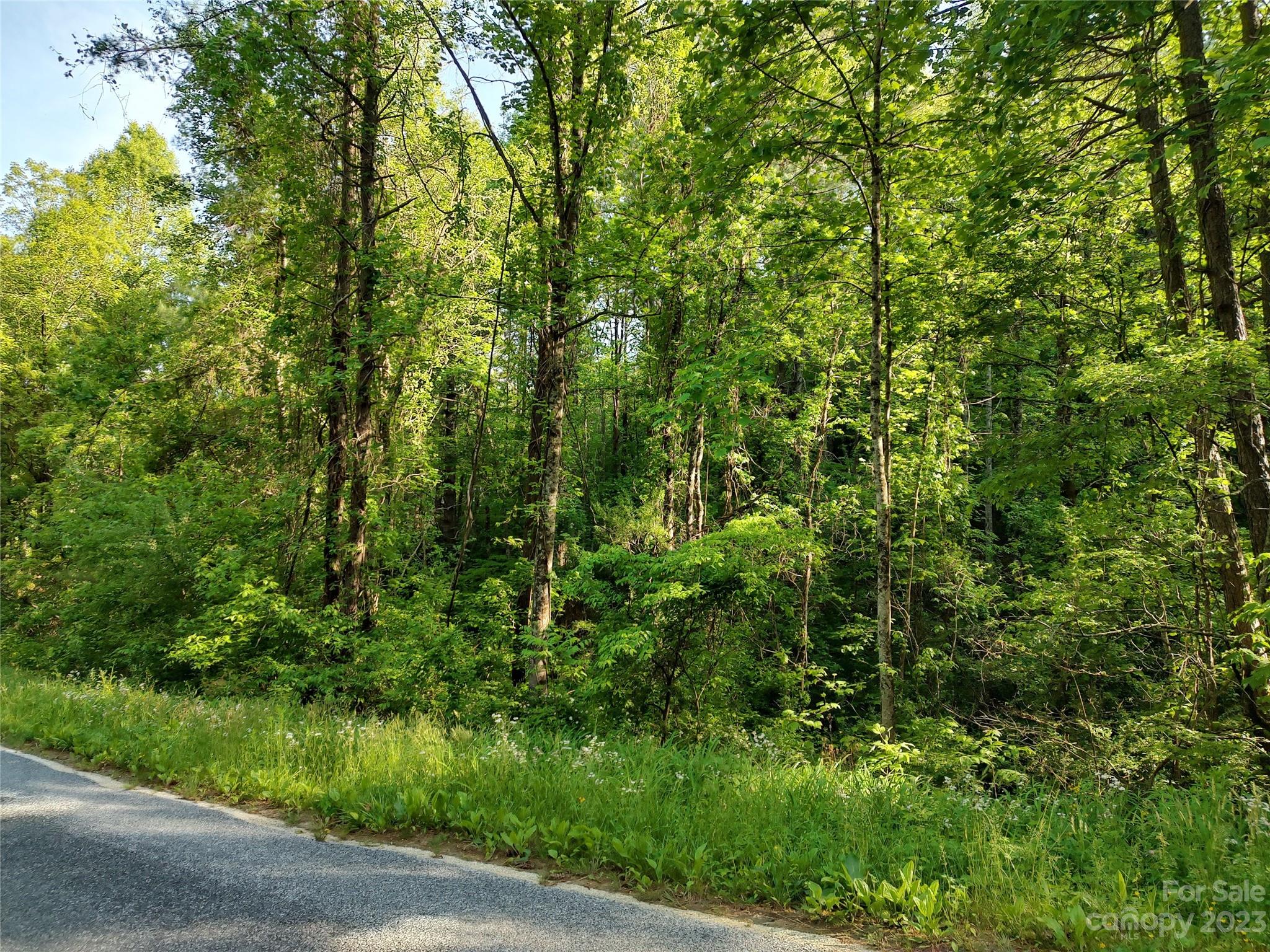 0000 Lindsey Loop Road