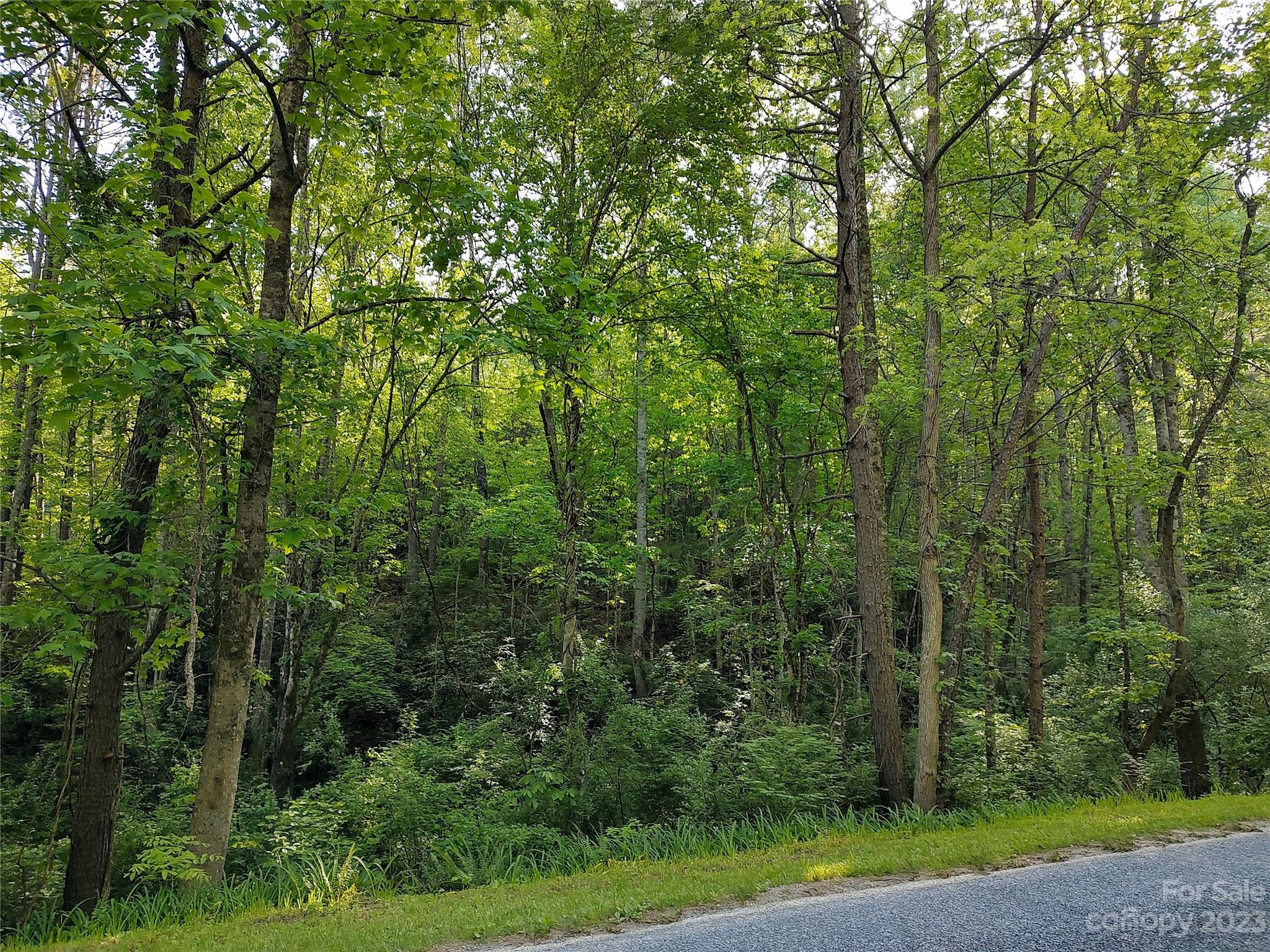 0000 Lindsey Loop Road