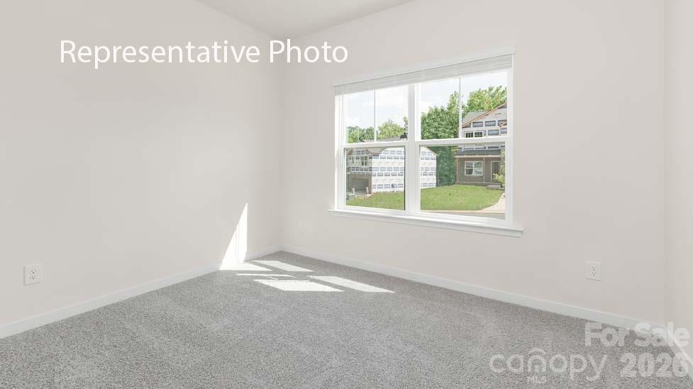 Reedy Creek Preserve - Residential