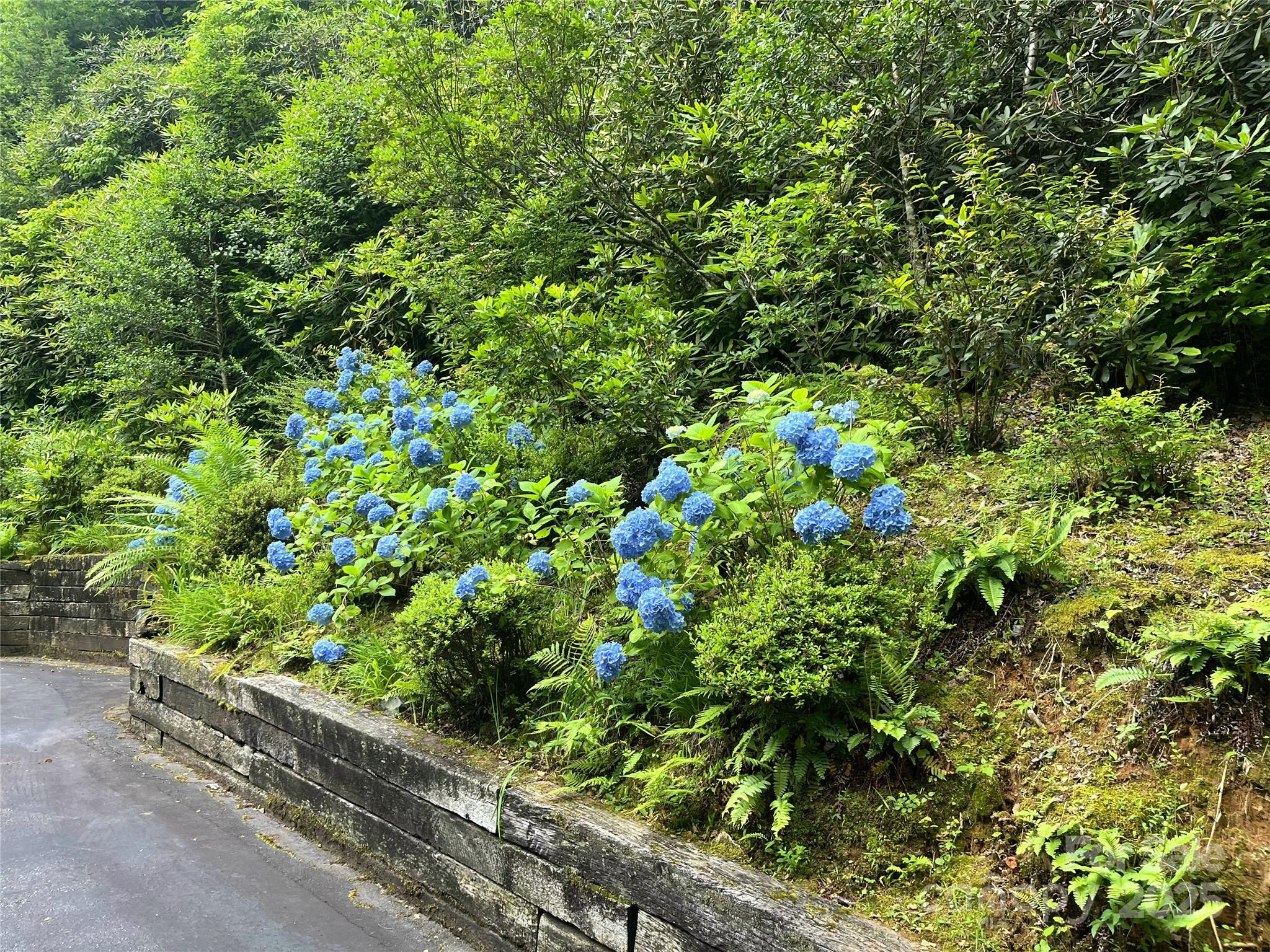 Waterford Place - Residential