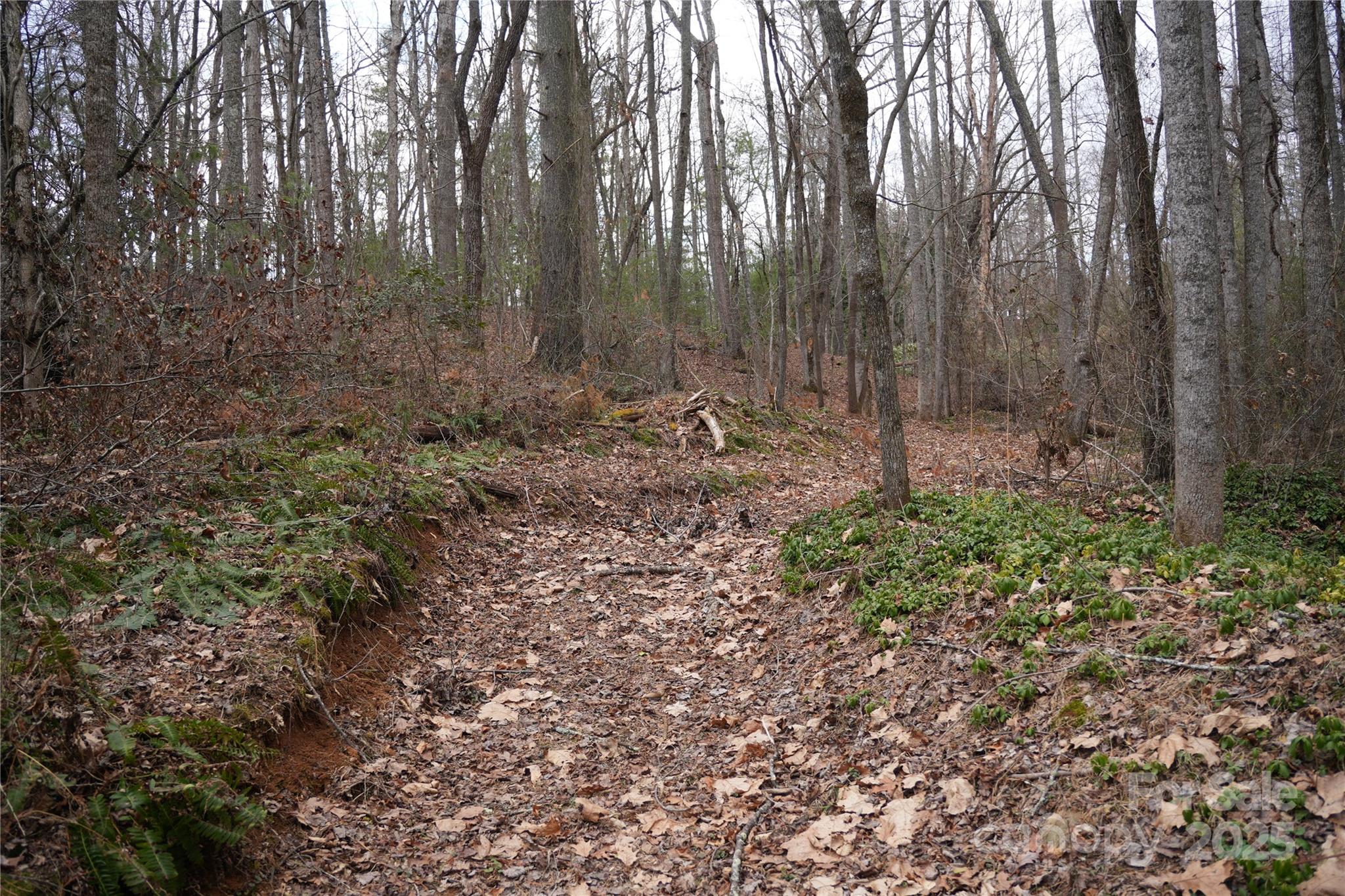 741 Glenn Bridge Road