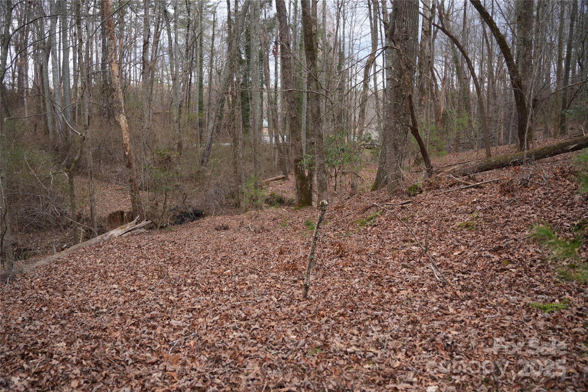 741 Glenn Bridge Road