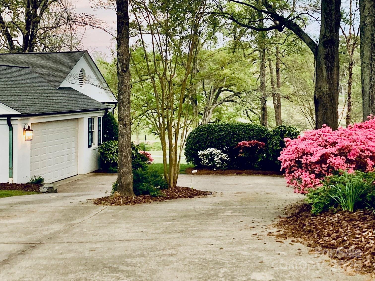 11 Pine Tree Road