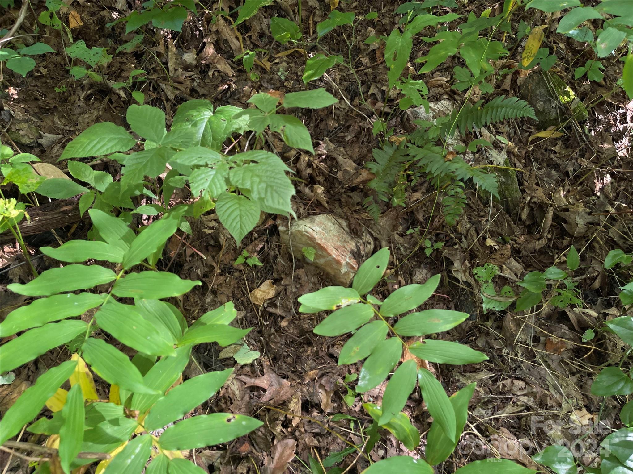 Friendly Acres - Land