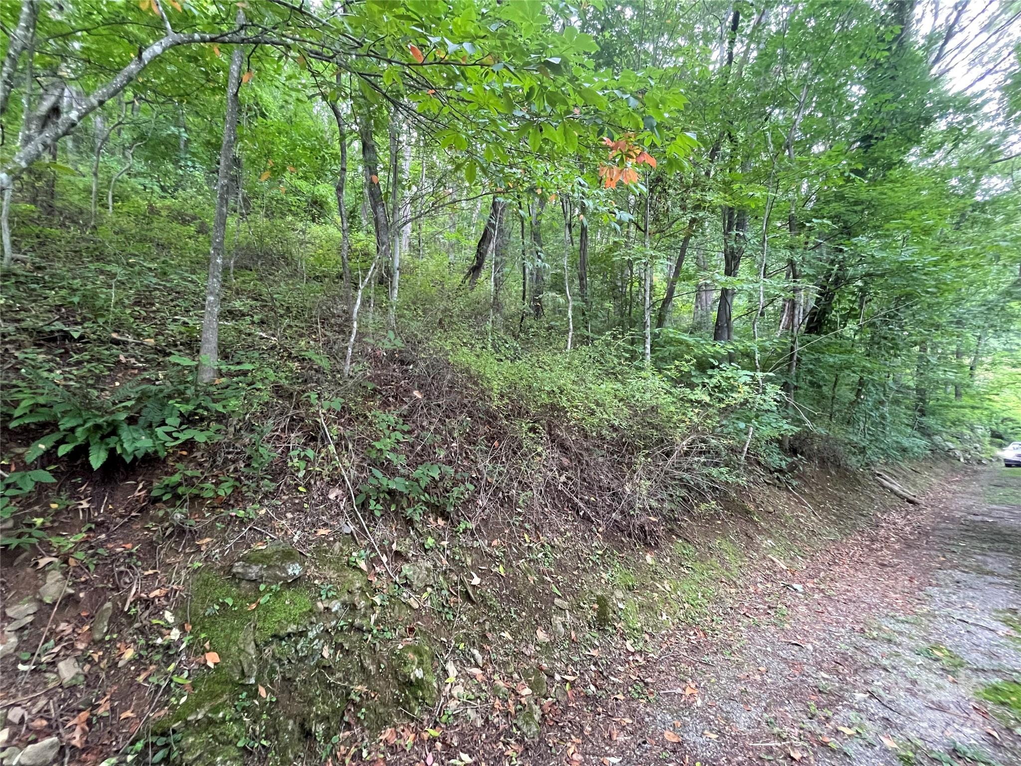 Friendly Acres - Land