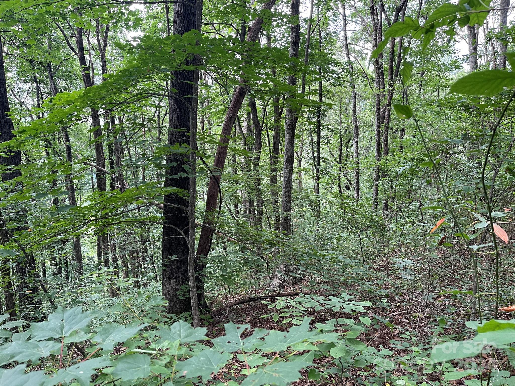 Friendly Acres - Land